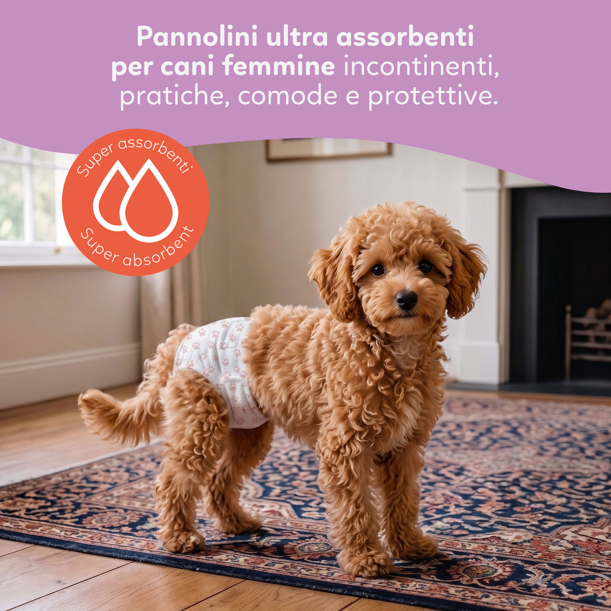 AQPET FRIENDS Nappy Panties Couches en bande pour chiennes, 30 pièces, absorbantes, hygiène quotidienne