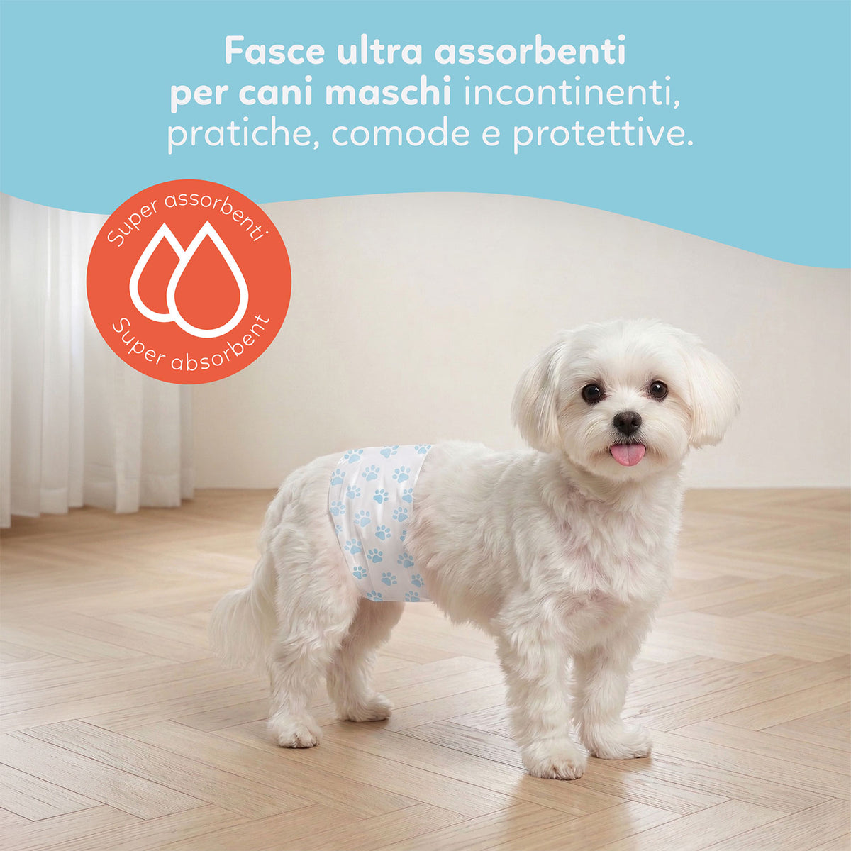 AQPET FRIENDS Nappy Slips Couches en bande pour chiens mâles, 36 pièces, absorbantes, hygiène quotidienne