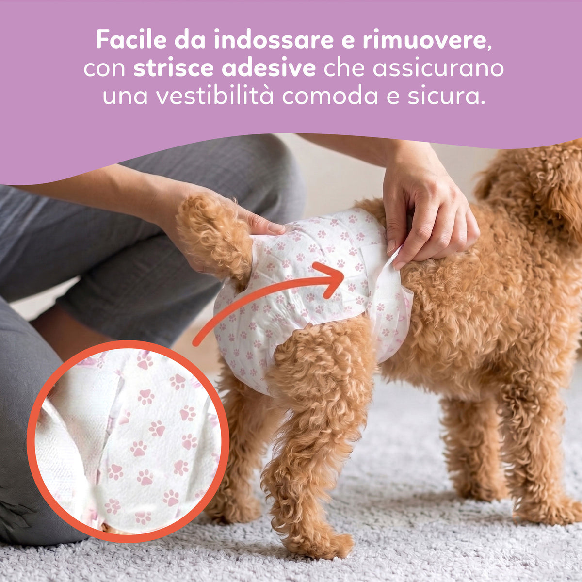 AQPET FRIENDS Nappy Panties Couches en bande pour chiennes, 30 pièces, absorbantes, hygiène quotidienne
