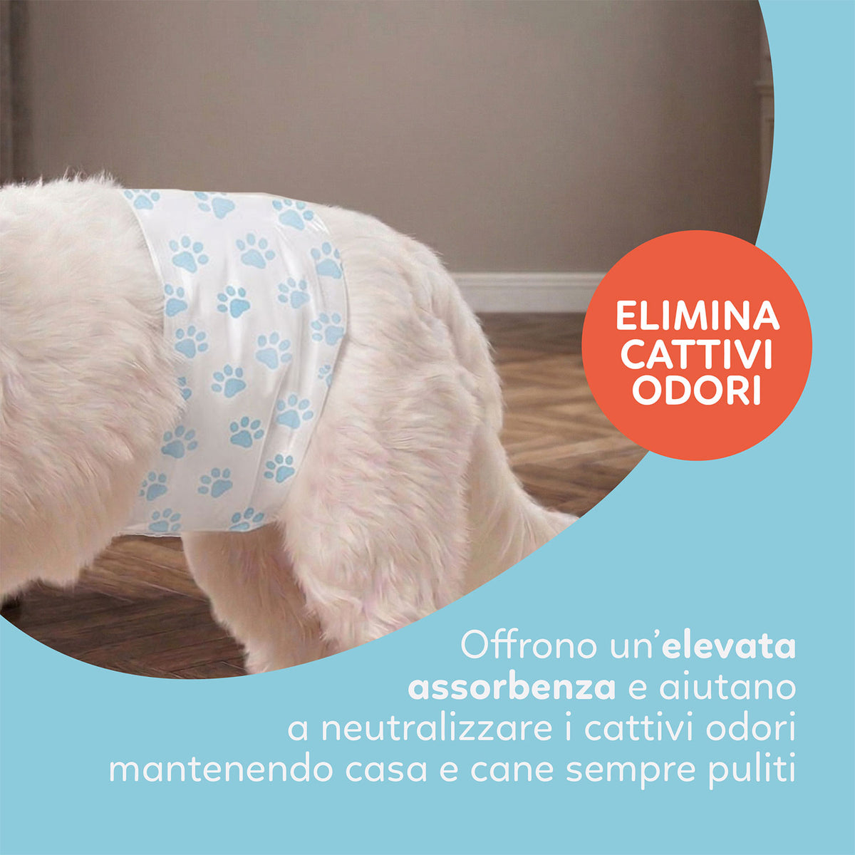 AQPET FRIENDS Nappy Slips Couches en bande pour chiens mâles, 36 pièces, absorbantes, hygiène quotidienne