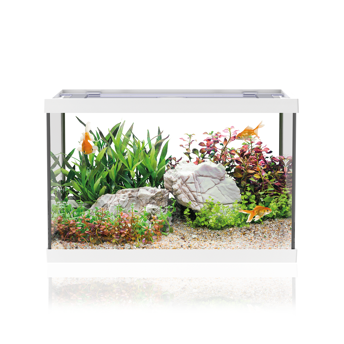 AQPET AQUARIUM ONE MINI EN VERRE 20 LT 39x22x26h BLANC