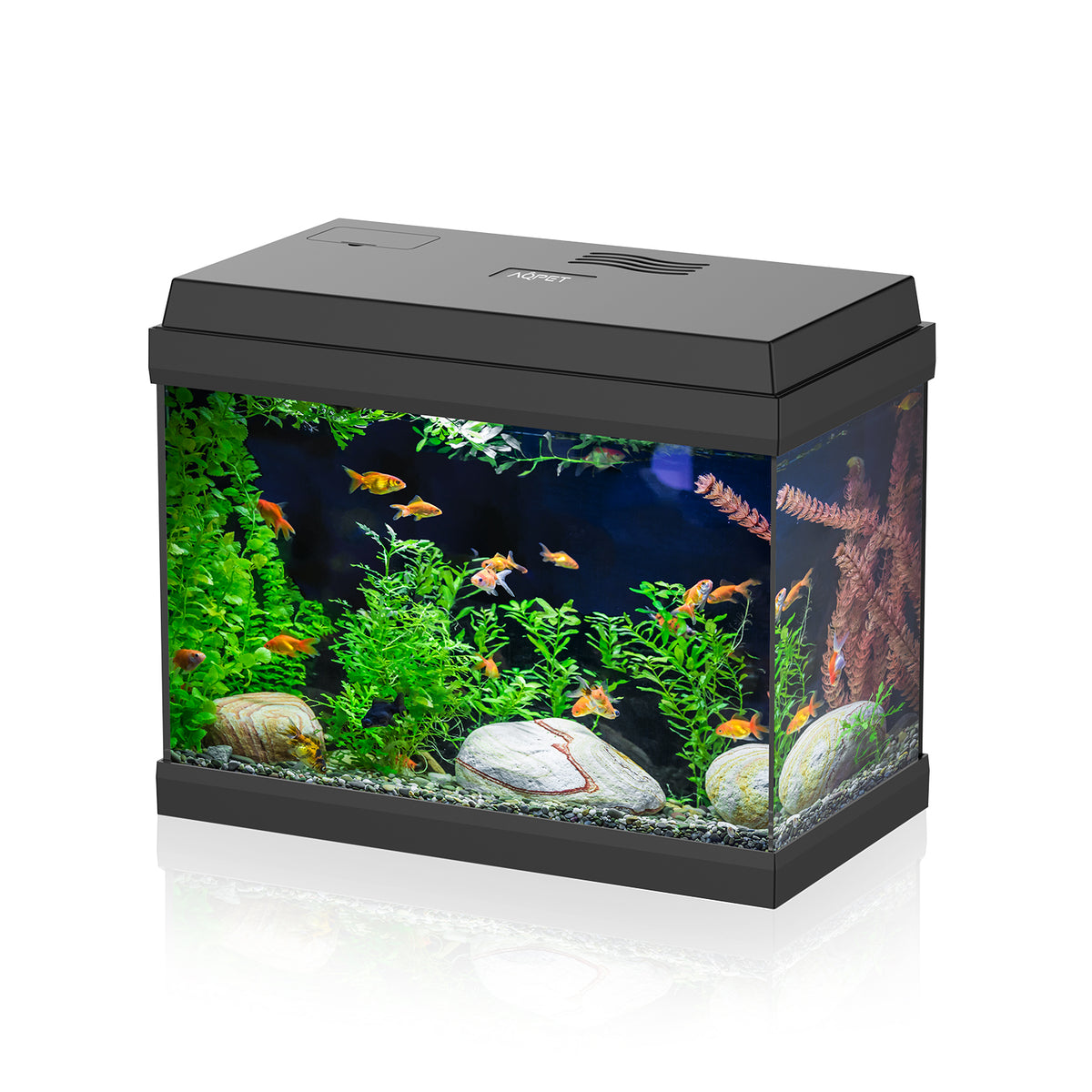 AQPET AQUARIUM SIMPLY LED 30 NOIR COMPLET AVEC ÉCLAIRAGE ET FILTRE - 39X22X30 H CM