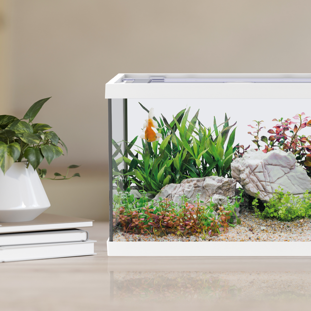 AQPET AQUARIUM ONE MINI EN VERRE 20 LT 39x22x26h BLANC