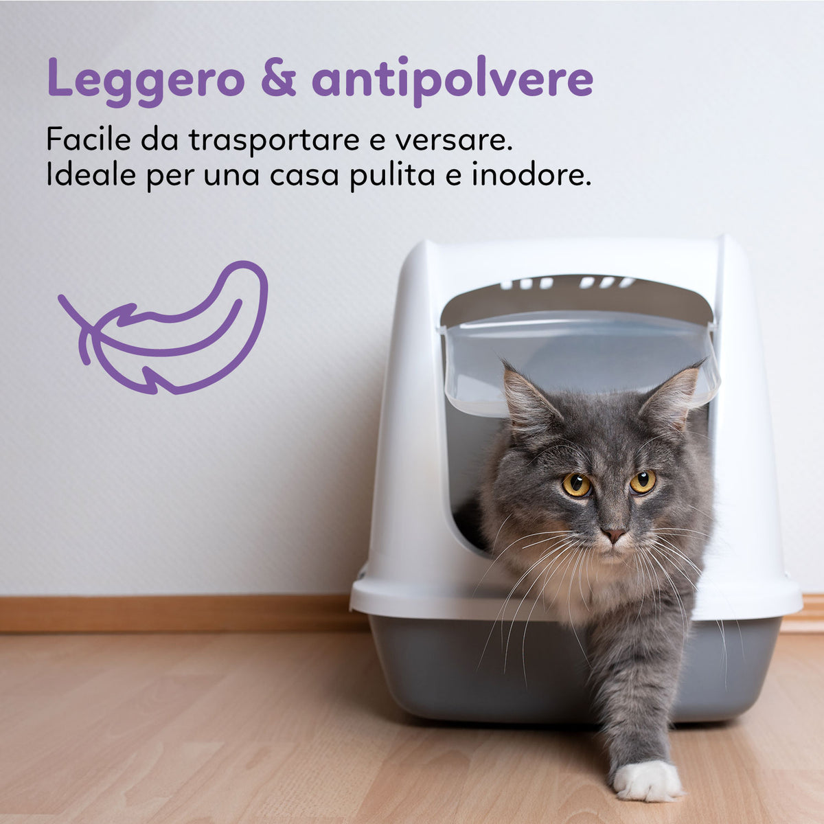 AQPET FRIENDS Litière en silice Catty parfum lavande pour chats, super absorbante, anti-odeurs, hygiène du chat