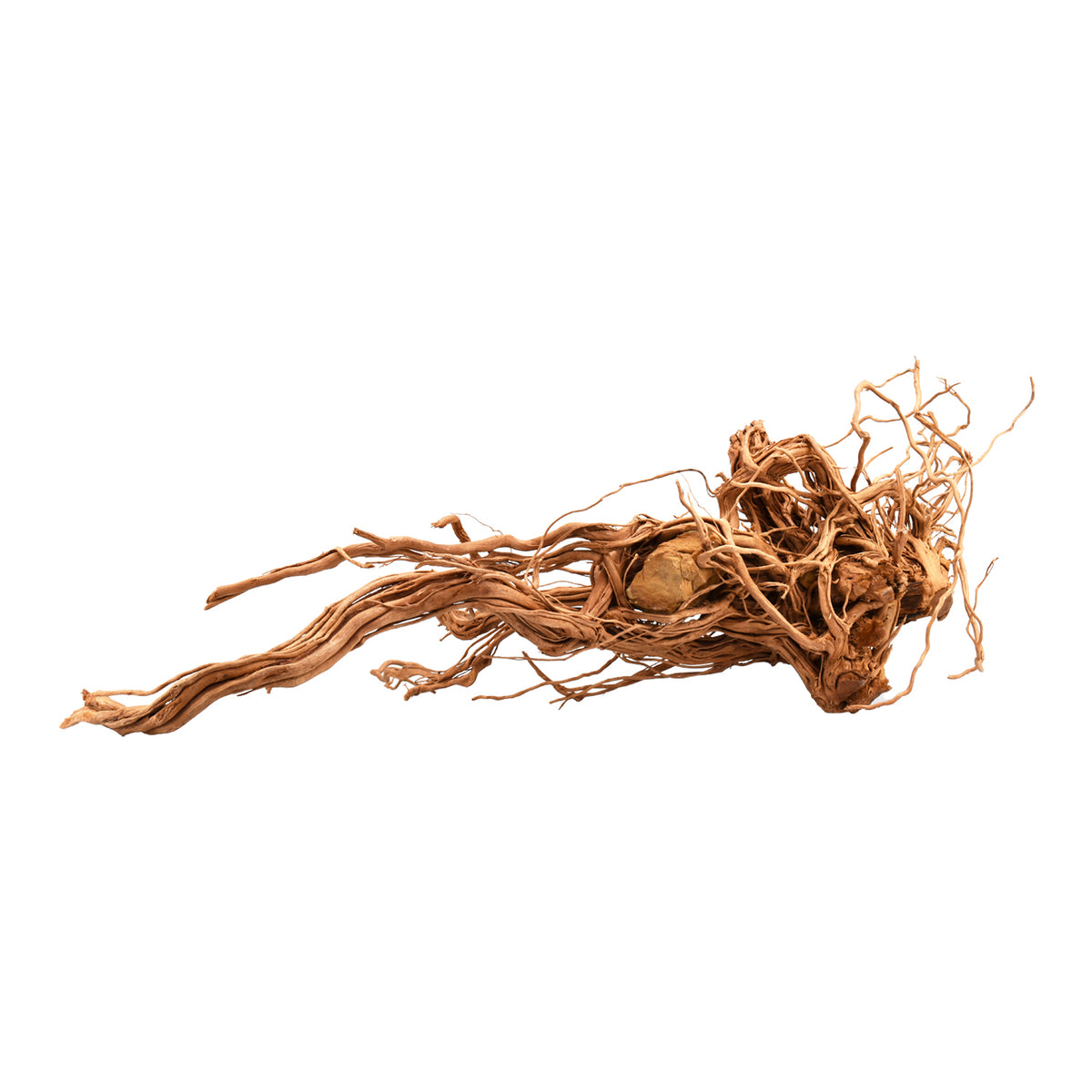 AQPET ZEN WOOD AZALÉE DRAGON RACINE DE BOIS SÉLECTIONNÉE