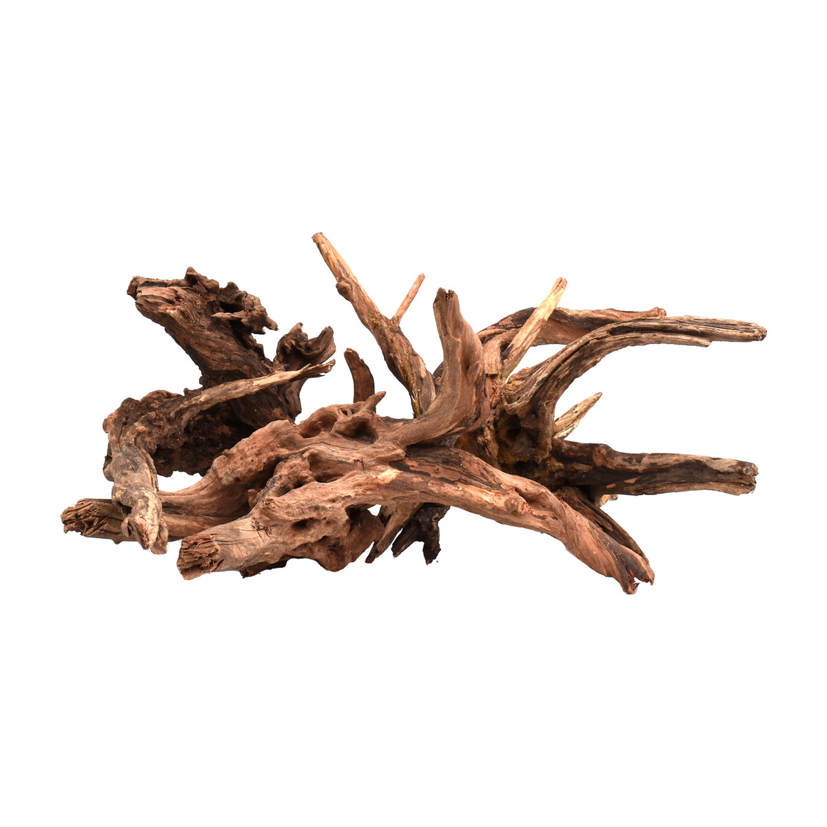 AQPET ZEN WOOD DRIFT RACINE DE BOIS