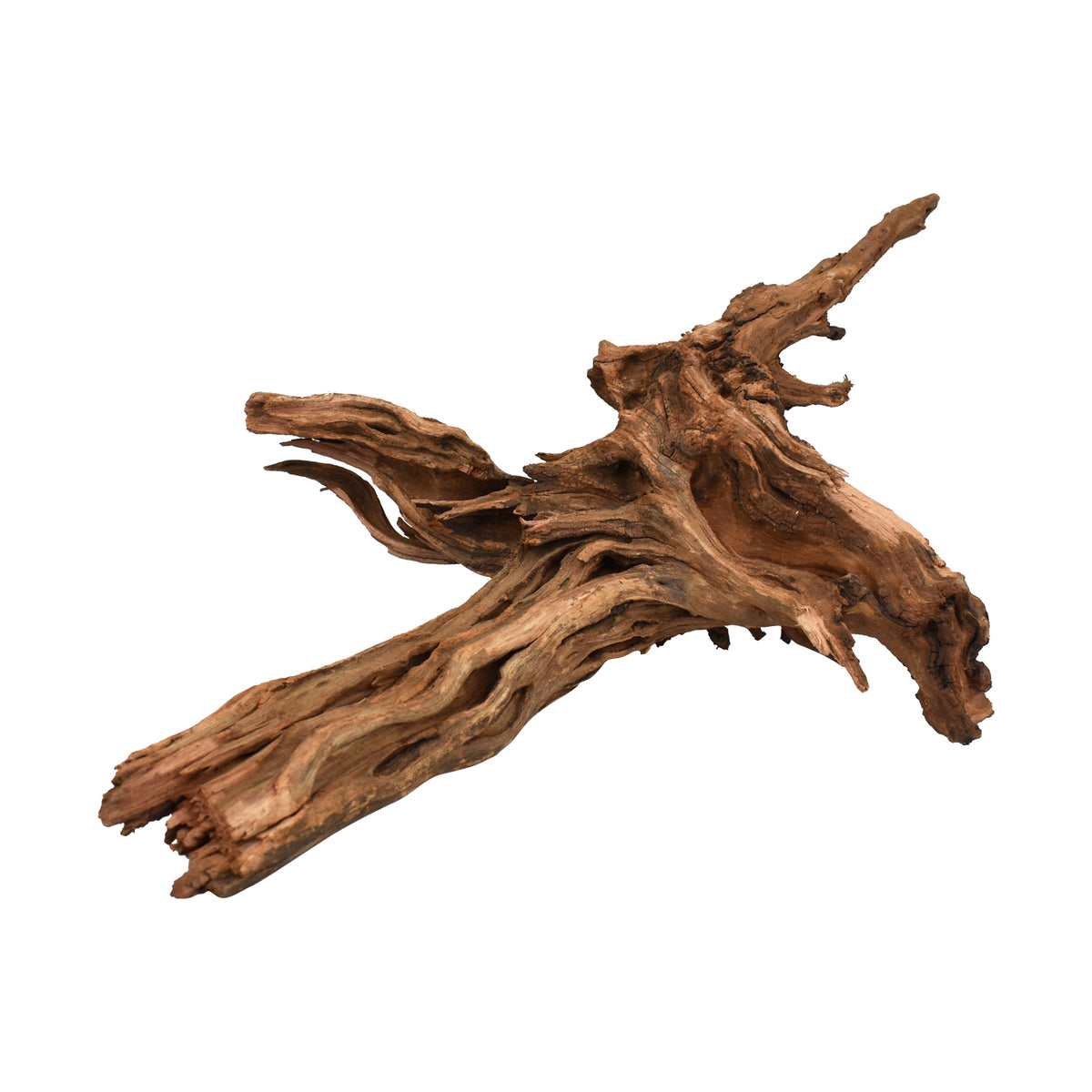 AQPET ZEN WOOD DRIFT RACINE DE BOIS