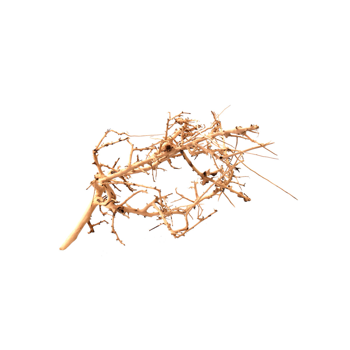 AQPET ZEN WOOD TINY RACINE DE BOIS