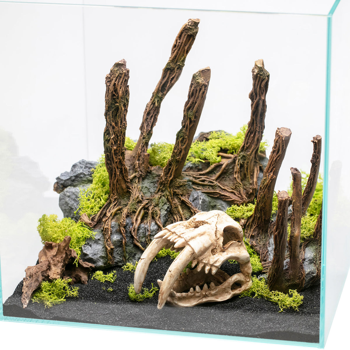 AQPET DECORART Décorations pour aquariums MOD. BARE ROOTS 32.5*21*24