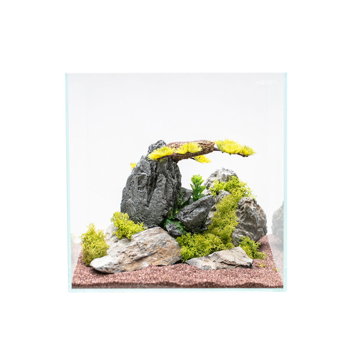 AQPET DECORART Décorations pour aquariums MOD. Bonsaï Zen M 19*12.5*15