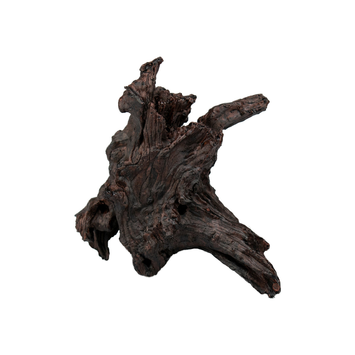 AQPET DECORART Décorations pour aquariums mod. Black Roots 18*17*10