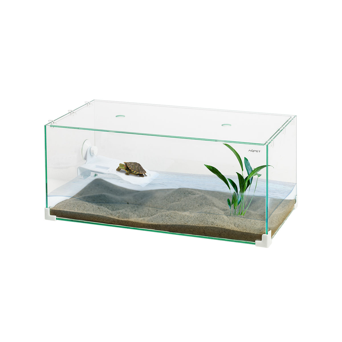 AQPET AQUATERRARIUM EN VERRE TORTUGA 50 - 50X27X20 CM AVEC ÎLOT