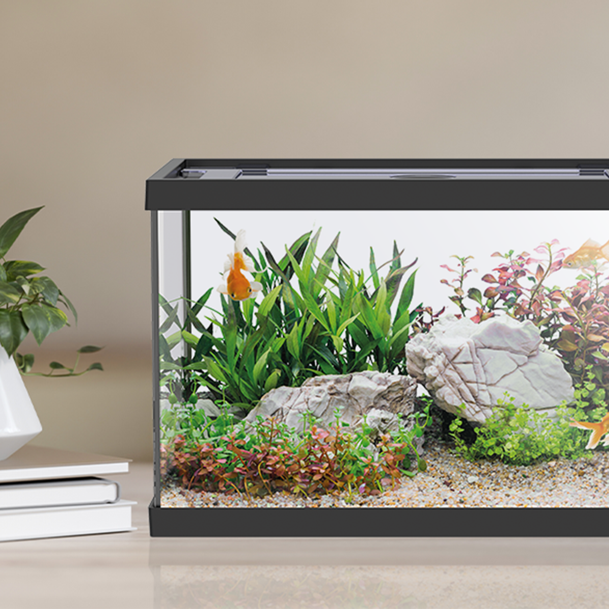 AQPET AQUARIUM ONE MINI EN VERRE 20 L 39x22x26h NOIR