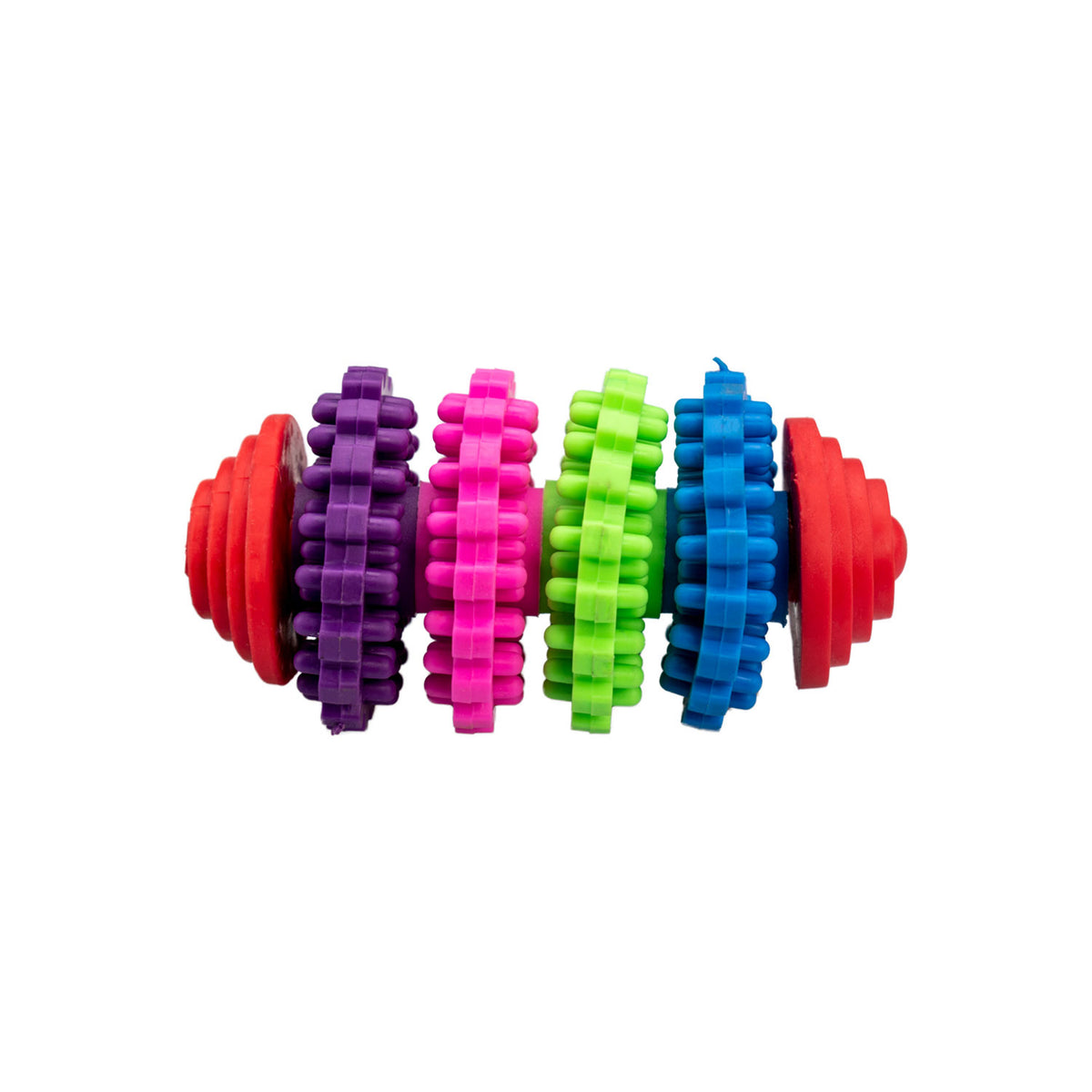 AQPET FRIENDS AQPET Jouet dentaire pour chien, cylindre coloré en caoutchouc, jouet amusant pour chien