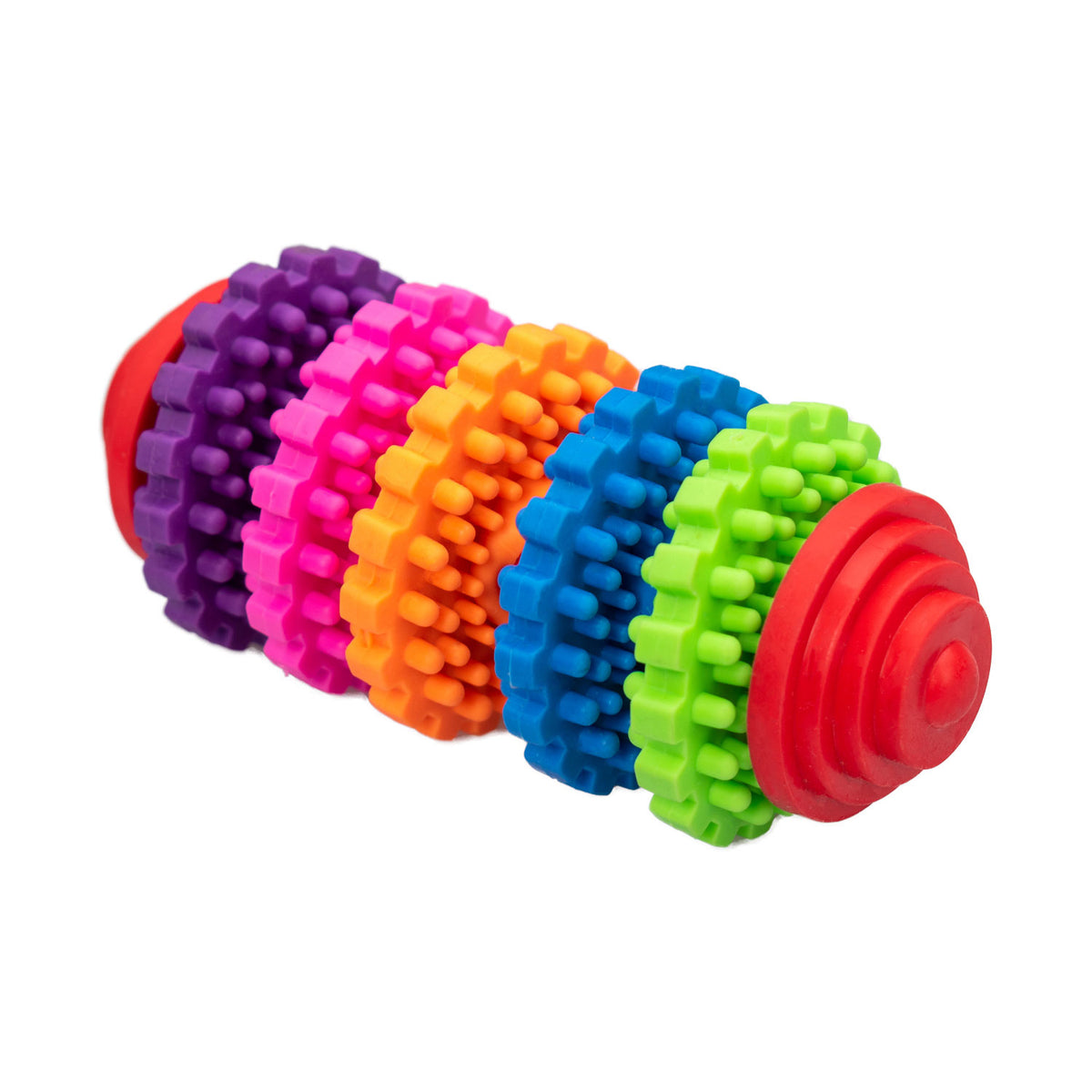 AQPET FRIENDS AQPET Jouet dentaire pour chien, cylindre coloré en caoutchouc, jouet amusant pour chien