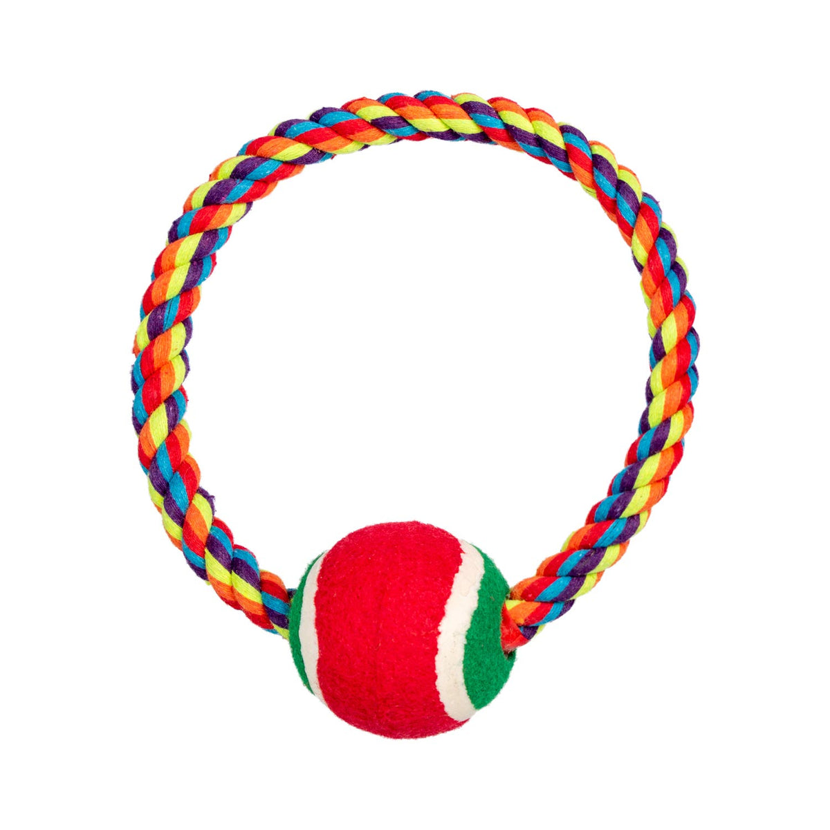 AQPET FRIENDS AQPET jouet pour chien Smarty anneau en corde avec balle 20 X 7 Cm, jeu pour chiens, divertissement pour animaux