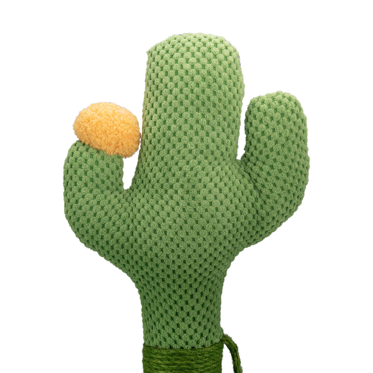 AQPET FRIENDS arbre à chat Cactus 54 cm avec niche, aire de jeux et griffoir pour chat, vert