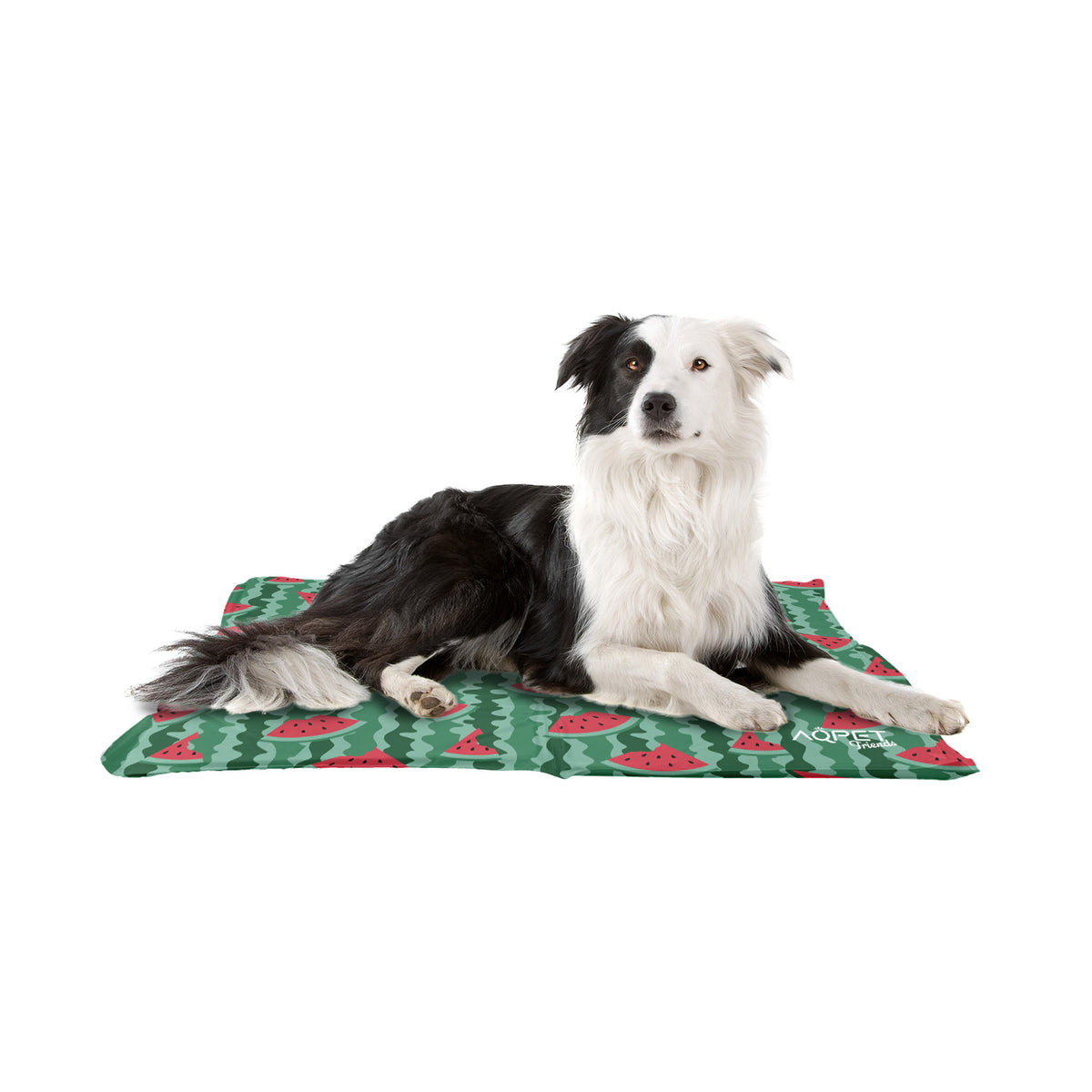 AQPET FRIENDS tapis rafraîchissant pour chiens, chats et animaux, gel non toxique, motif Fruit