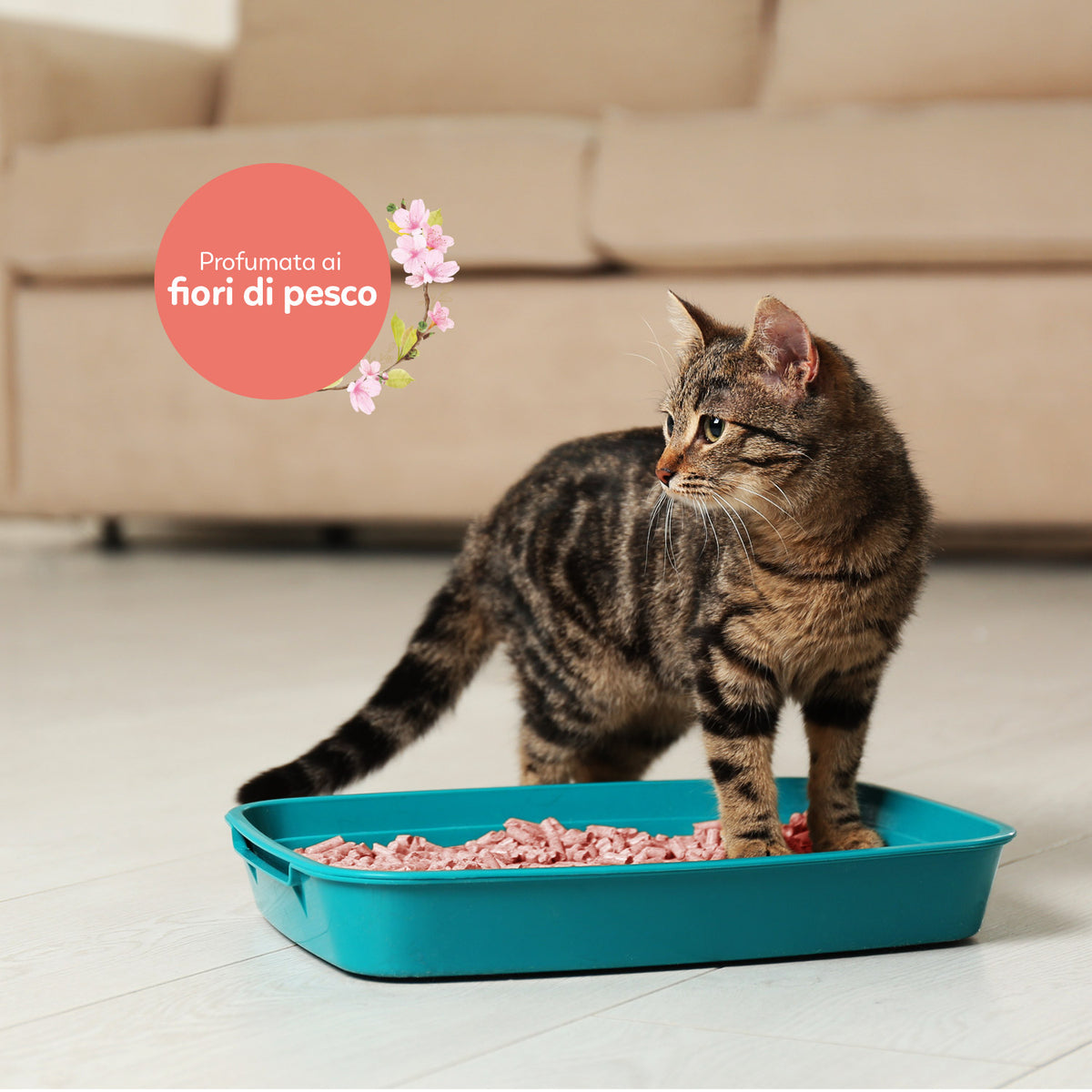 AQPET FRIENDS Catty Green litière à base de soja, parfum fleurs de pêcher, 6LT, pour chats, ultra-absorbante, anti-odeurs, hygiène féline