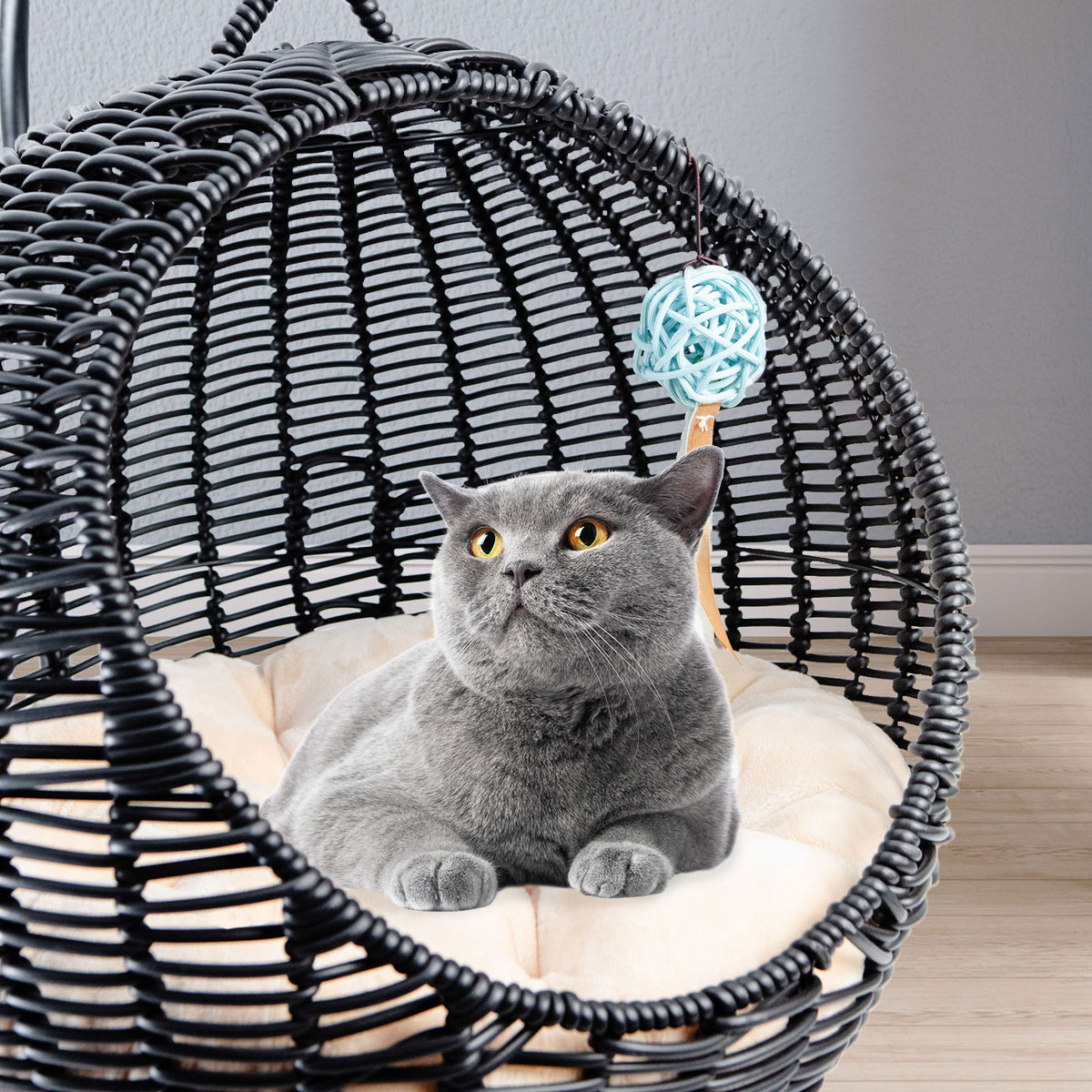AQPET FRIENDS Morfeo panier suspendu pour chats et chatons en osier tressé à la main, avec coussin moelleux inclus, couleur noire, 46x62 cm