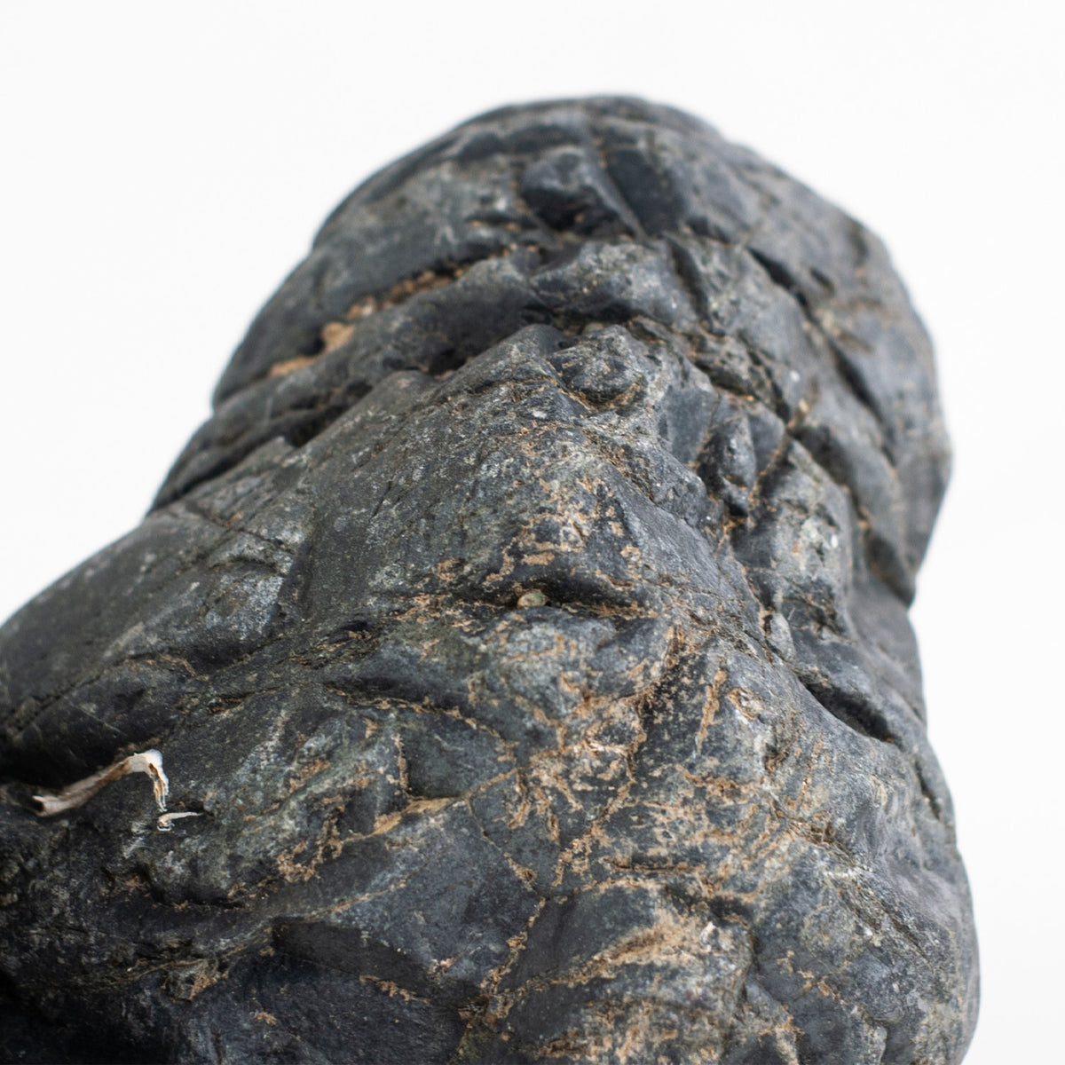 AQPET ZEN STONE ROCHES GOTLAND STONE (CONDITIONNEMENT 10KG MIXTE)