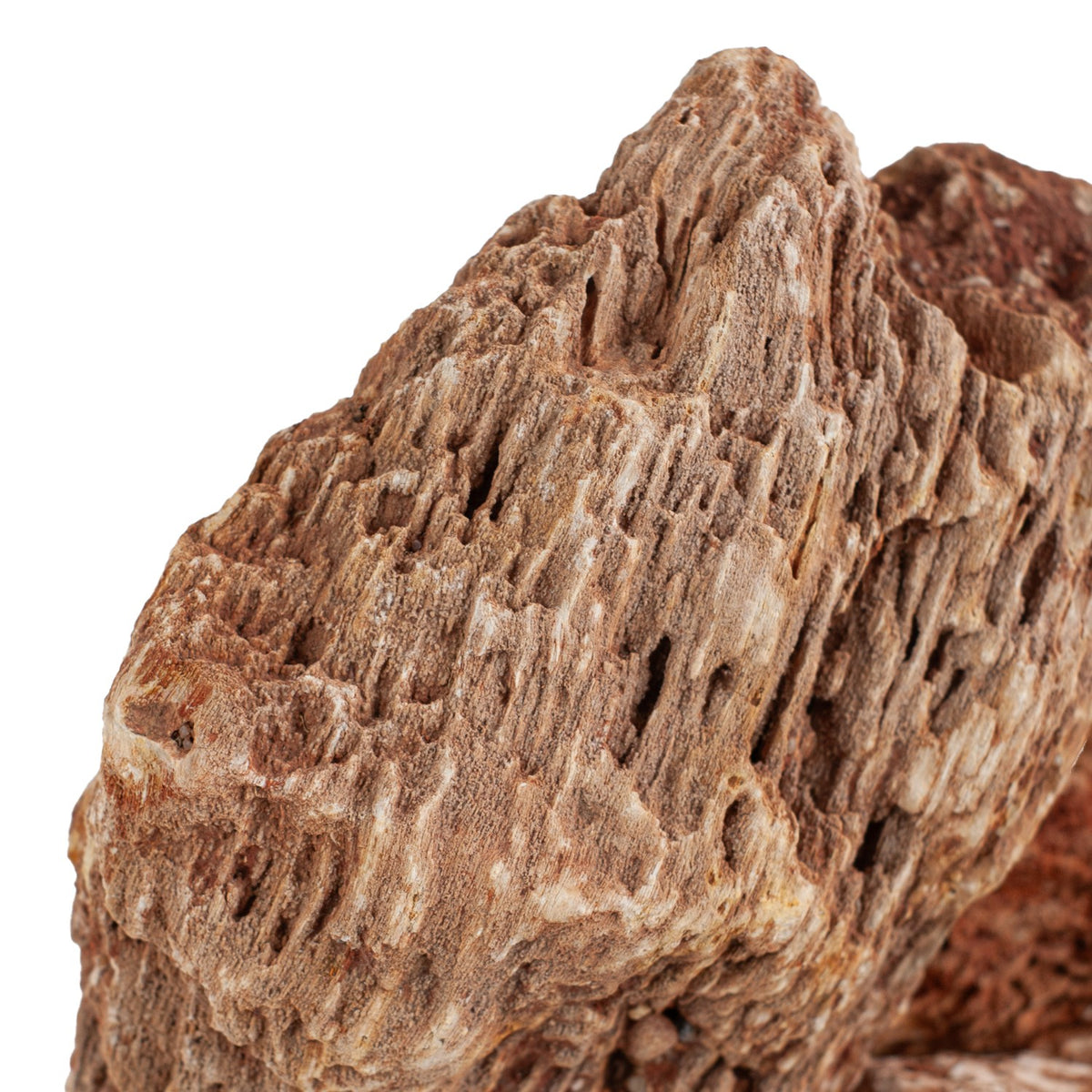 AQPET ZEN STONE ROCCE FOSSILE DE BOIS ROUGE (CONF. 20KG MIXTE)
