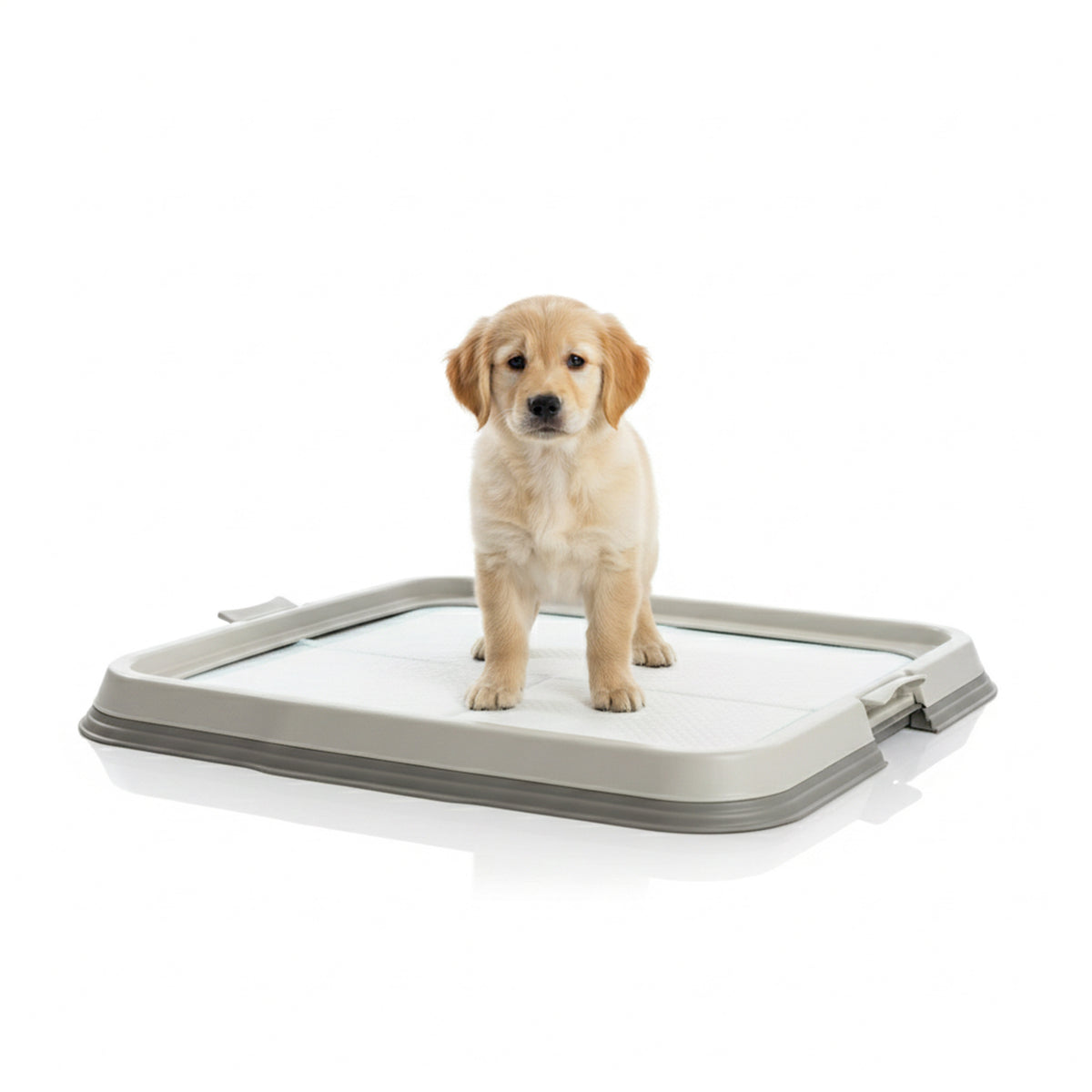 AQPET FRIENDS Bac pour chiens avec plateau porte-tapis absorbants 60x60 cm, base antidérapante pour tapis hygiéniques, idéal pour l’apprentissage des chiots et l’usage domestique