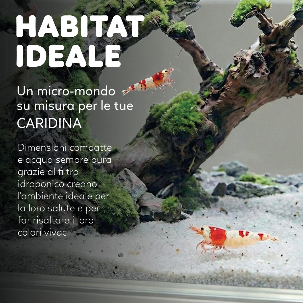 AQPET HYDO AQUARIUM DE BUREAU DOCK STATION