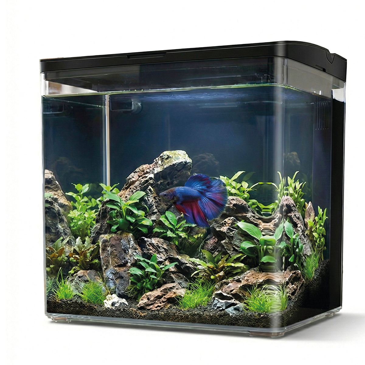 AQPET NEYA AQUARIUM DE BUREAU NOIR