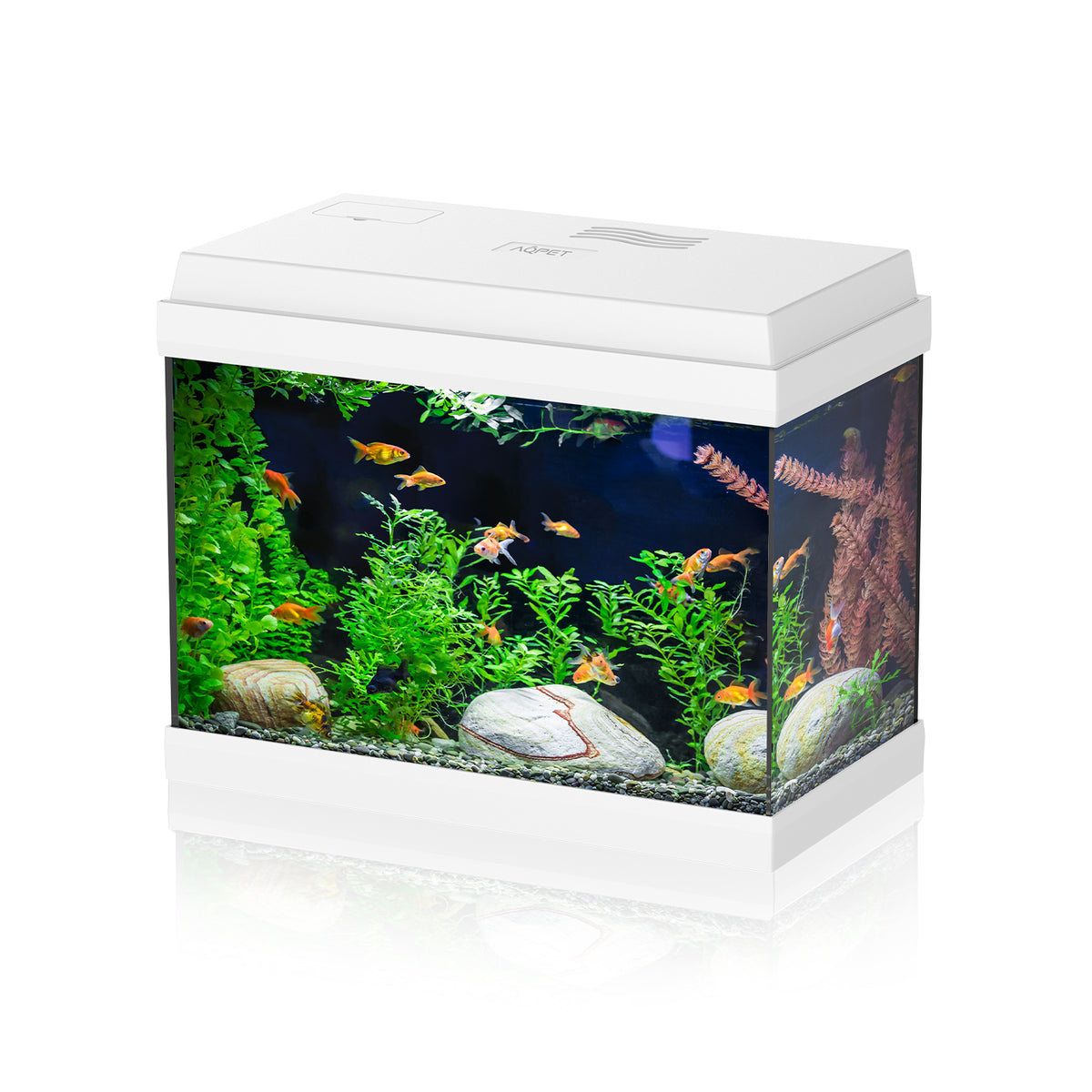 AQPET AQUARIUM SIMPLY LED 30 BLANC COMPLET AVEC ÉCLAIRAGE ET FILTRE - 39X22X30 H CM
