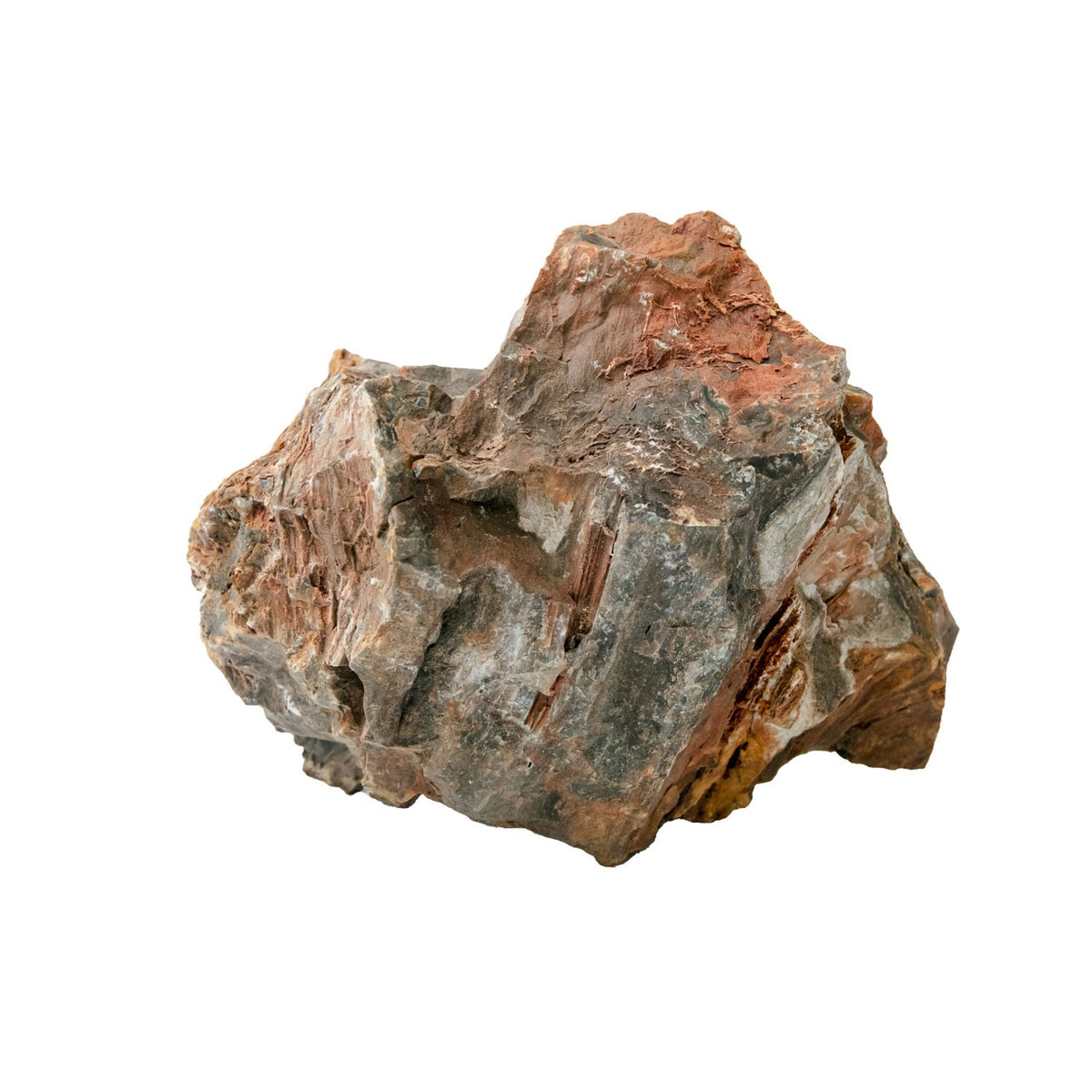 AQPET ZEN STONE ROCCE FOSSILE DE BOIS (CONF. 20KG MIXTE) 300GR /3 KG