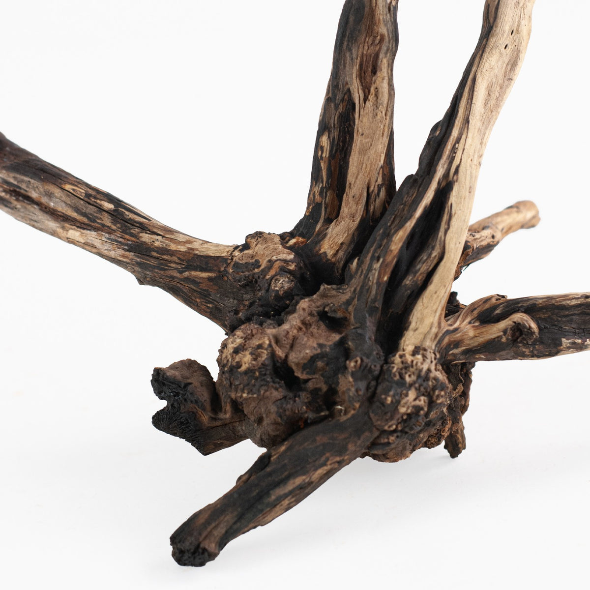AQPET ZEN WOOD NOIR FIN