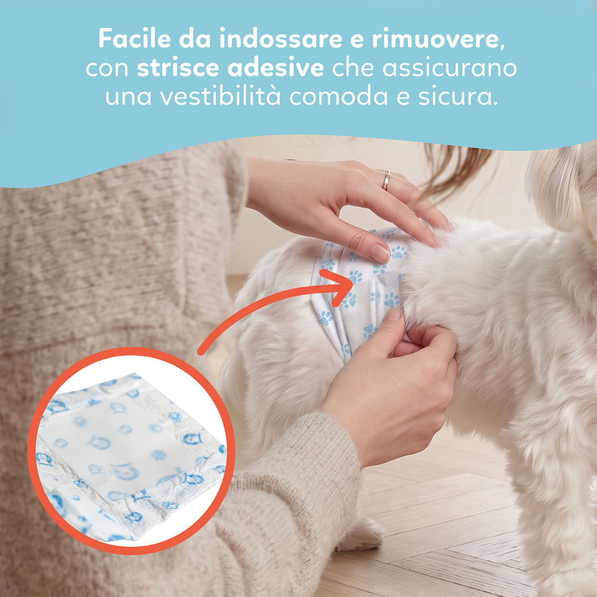 AQPET FRIENDS Nappy Slips Couches en bande pour chiens mâles, 36 pièces, absorbantes, hygiène quotidienne
