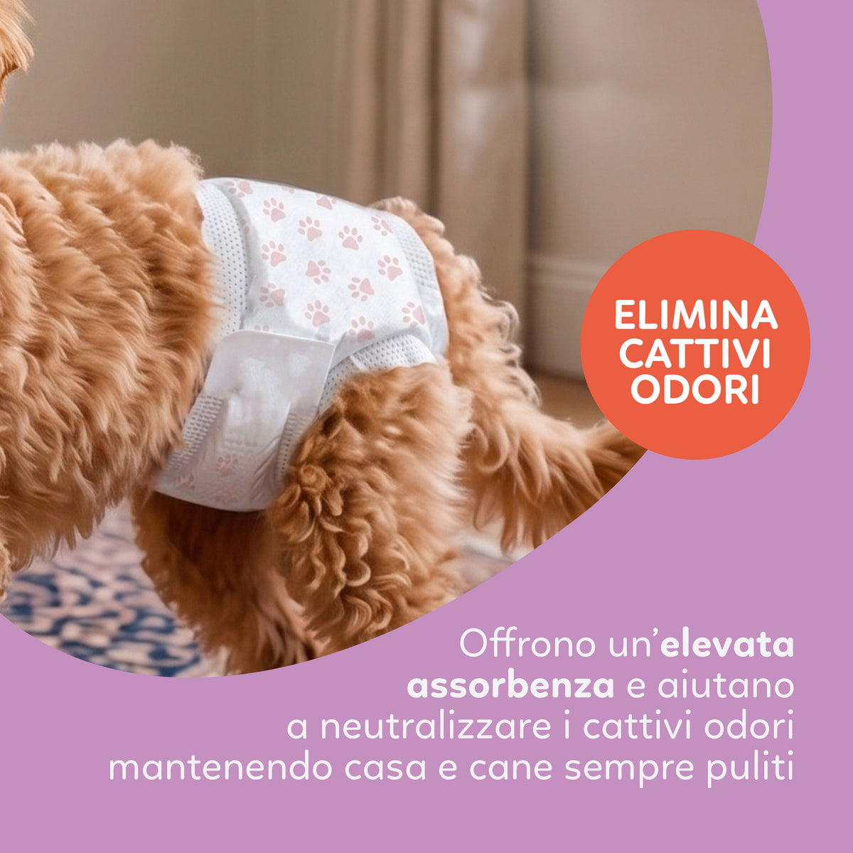 AQPET FRIENDS Nappy Panties Couches en bande pour chiennes, 30 pièces, absorbantes, hygiène quotidienne