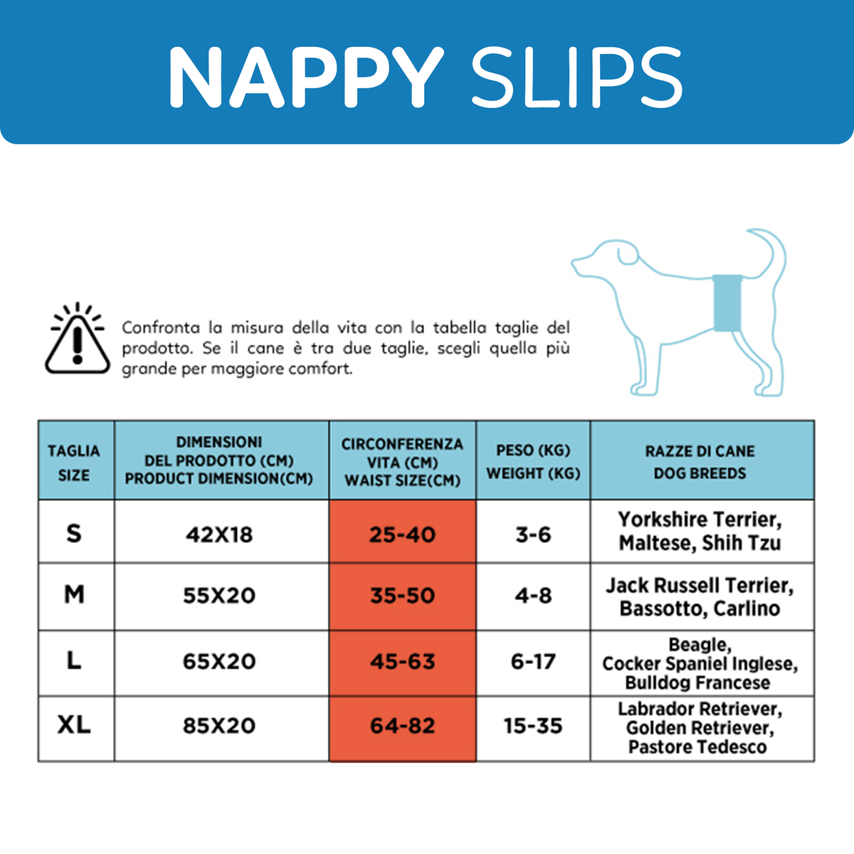 AQPET FRIENDS Nappy Slips Couches en bande pour chiens mâles, 36 pièces, absorbantes, hygiène quotidienne