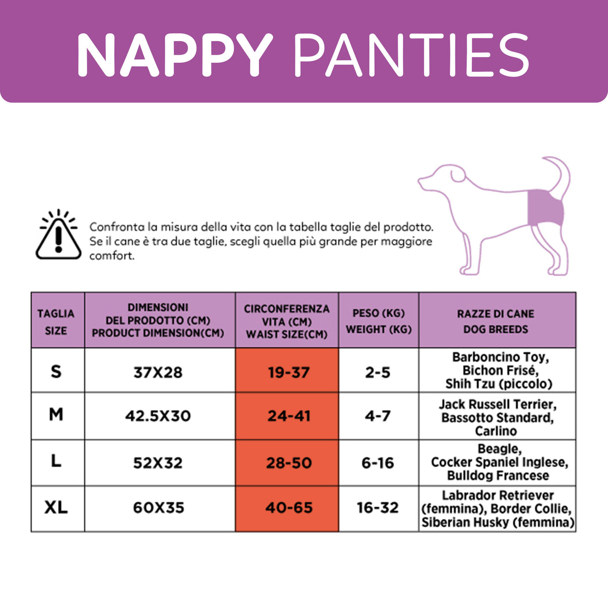 AQPET FRIENDS Nappy Panties Couches en bande pour chiennes, 30 pièces, absorbantes, hygiène quotidienne