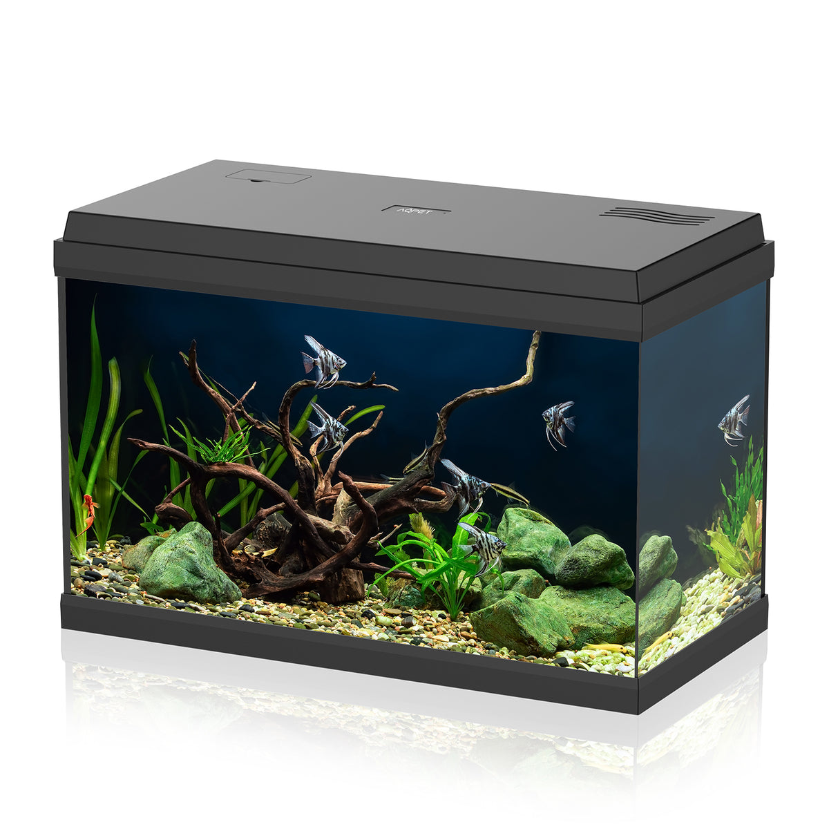AQPET AQUARIUM SIMPLY LED 60 NOIR COMPLET AVEC ÉCLAIRAGE, FILTRE ET CHAUFFAGE - 59X30X39 H CM