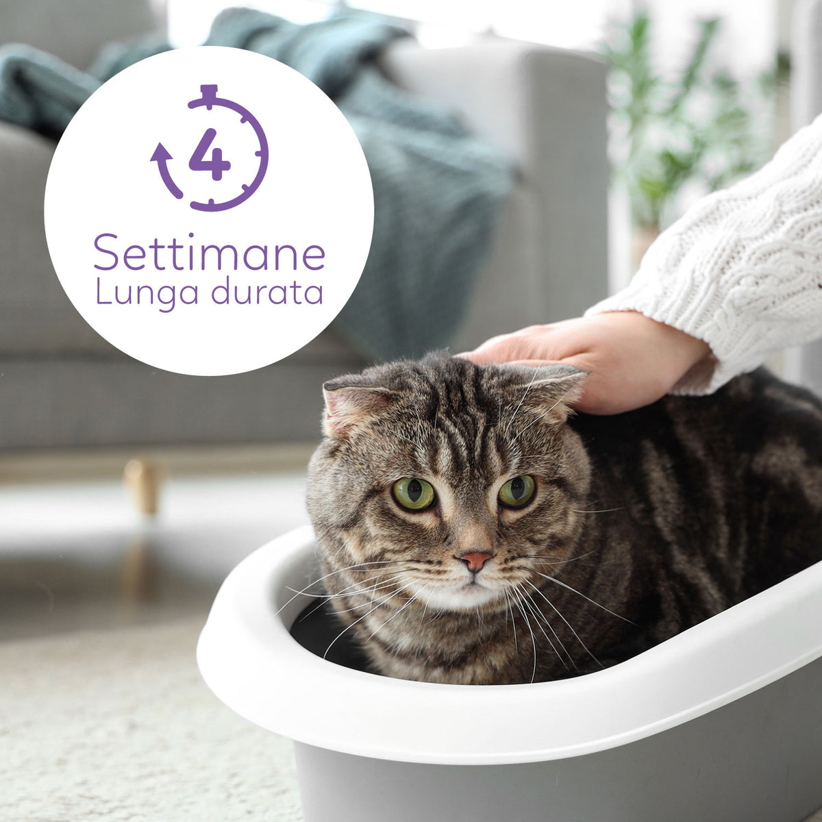 AQPET FRIENDS Litière en silice Catty parfum lavande pour chats, super absorbante, anti-odeurs, hygiène du chat