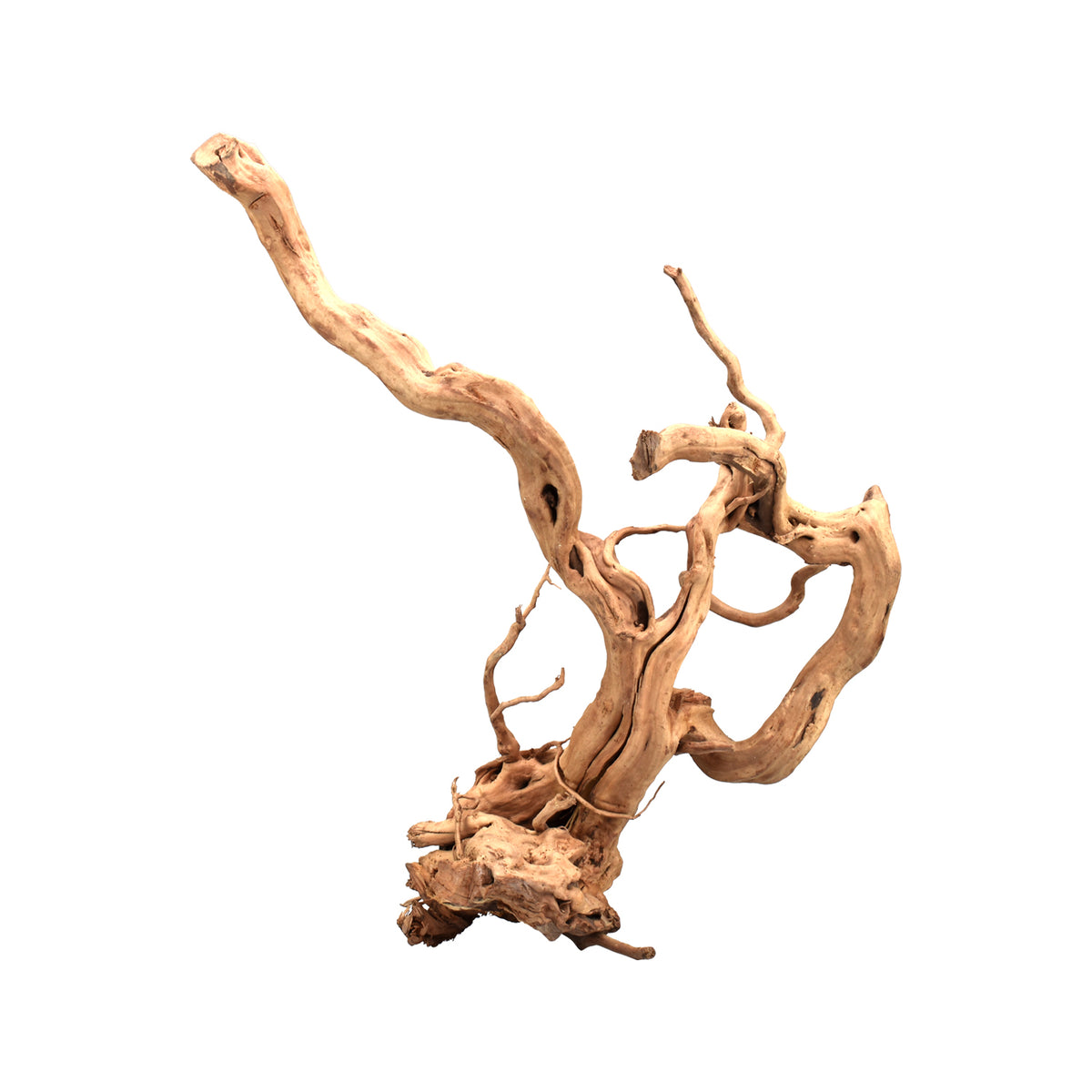 AQPET ZEN WOOD RACINE RACINE DE BOIS SÉLECTIONNÉE