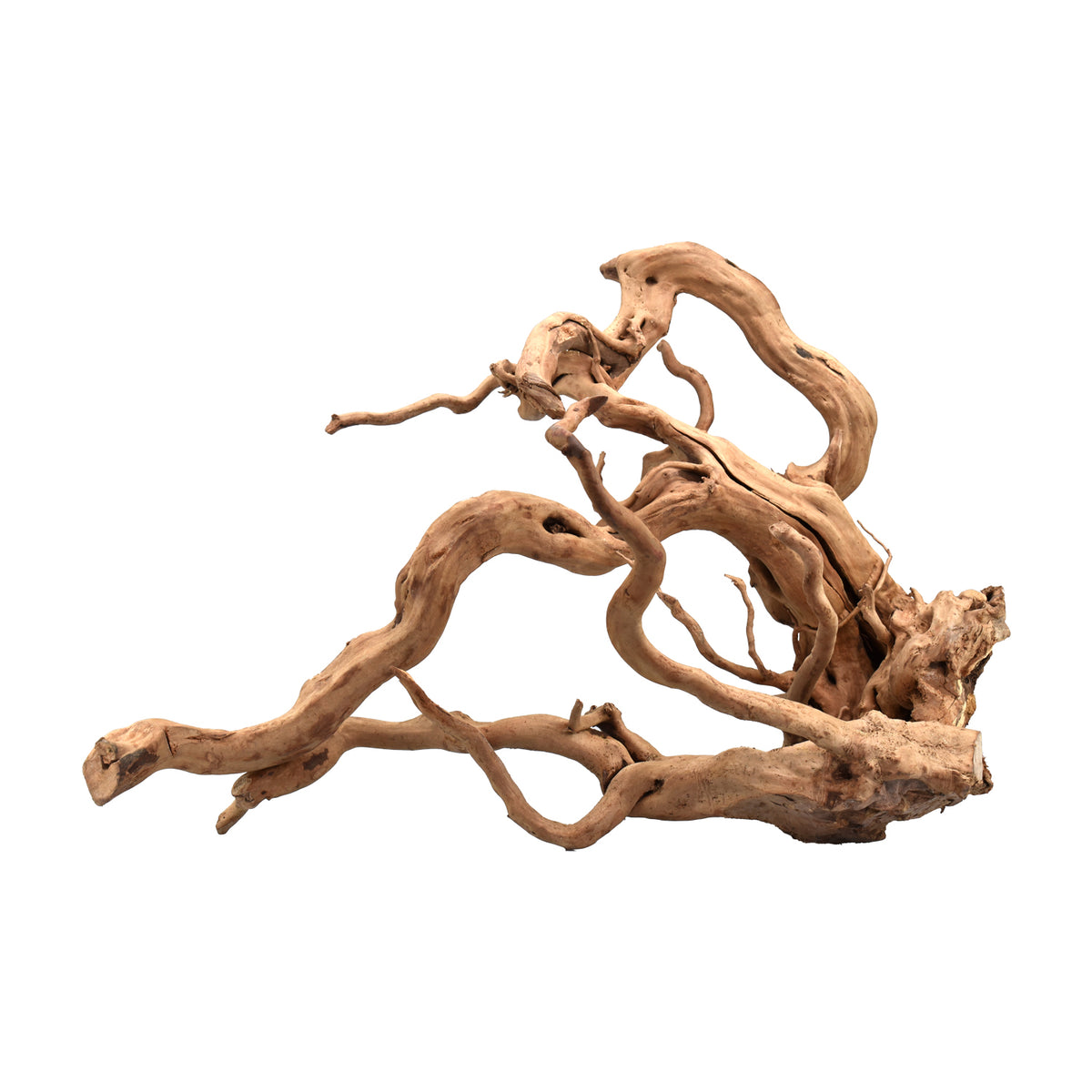 AQPET ZEN WOOD RACINE RACINE DE BOIS SÉLECTIONNÉE