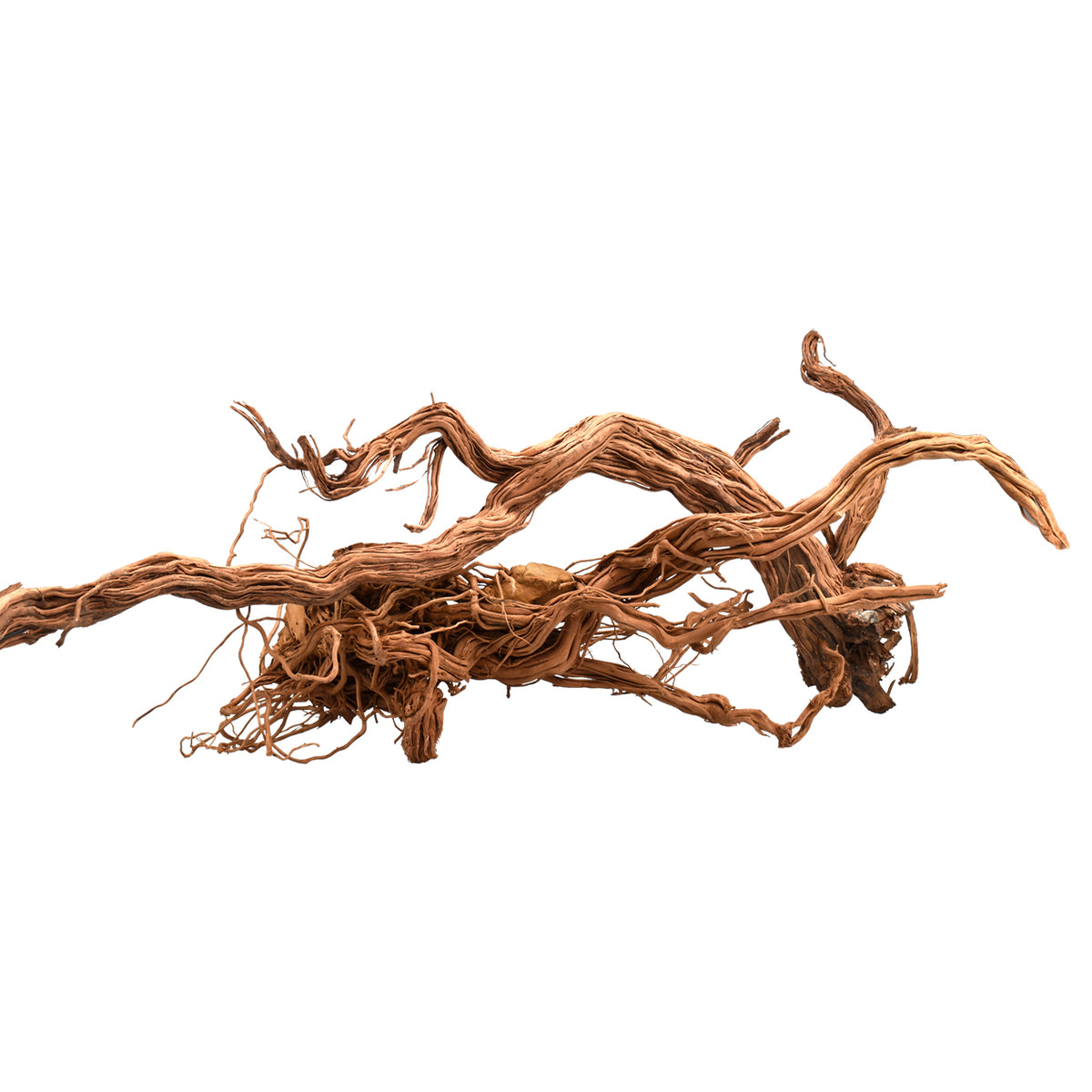 AQPET ZEN WOOD AZALÉE DRAGON RACINE DE BOIS SÉLECTIONNÉE