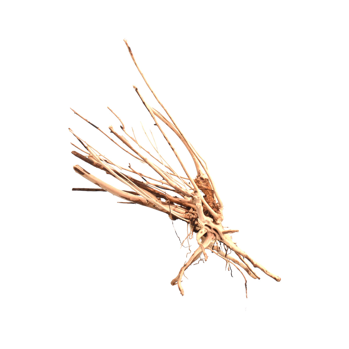 AQPET ZEN WOOD FIN RACINE DE BOIS SÉLECTIONNÉE