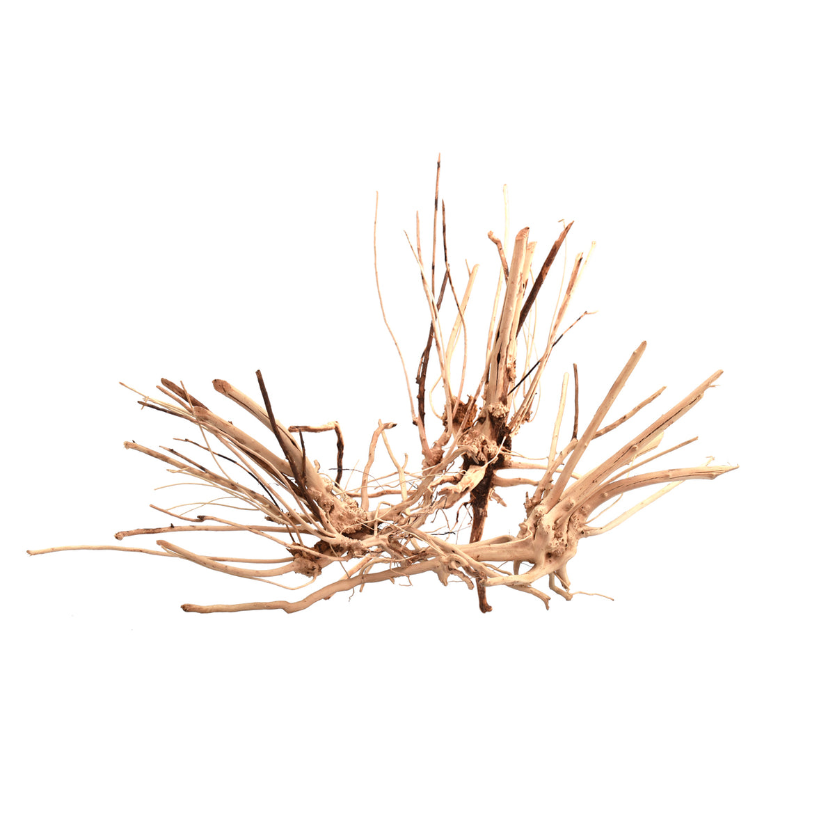 AQPET ZEN WOOD FIN RACINE DE BOIS SÉLECTIONNÉE