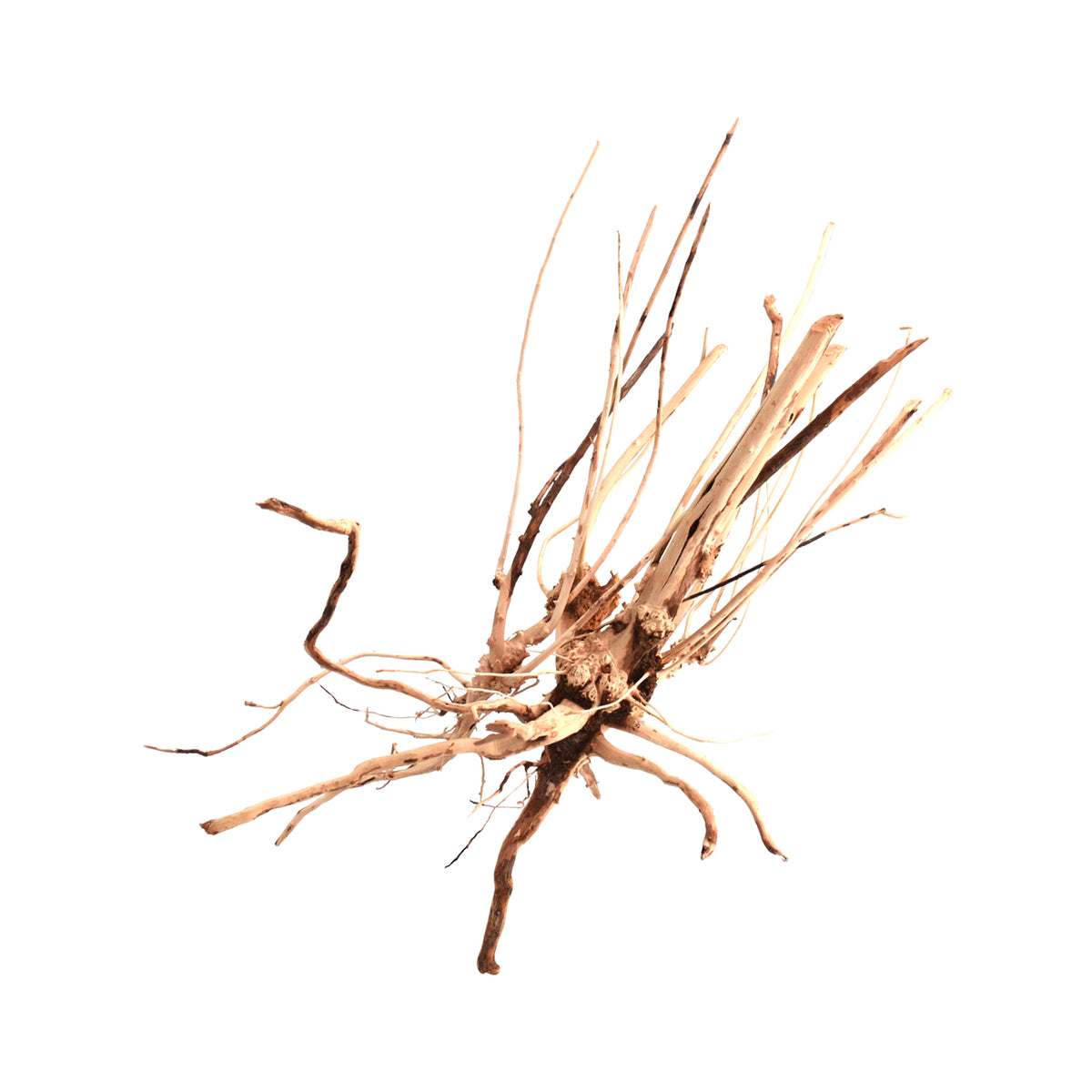AQPET ZEN WOOD FIN RACINE DE BOIS SÉLECTIONNÉE