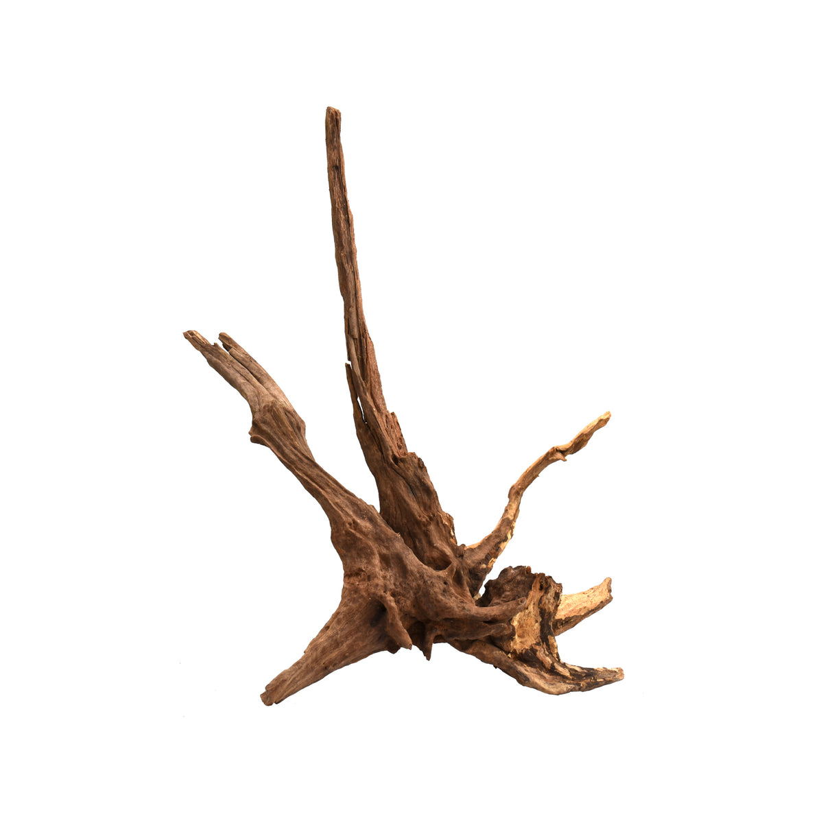 AQPET ZEN WOOD DRIFT RACINE DE BOIS