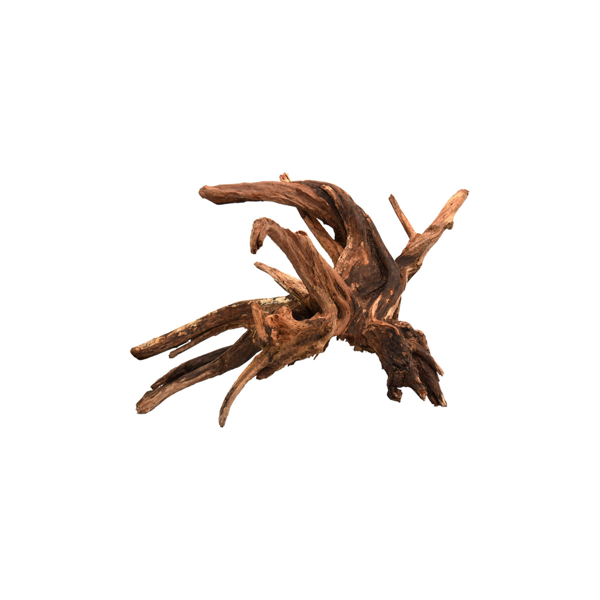 AQPET ZEN WOOD DRIFT RACINE DE BOIS