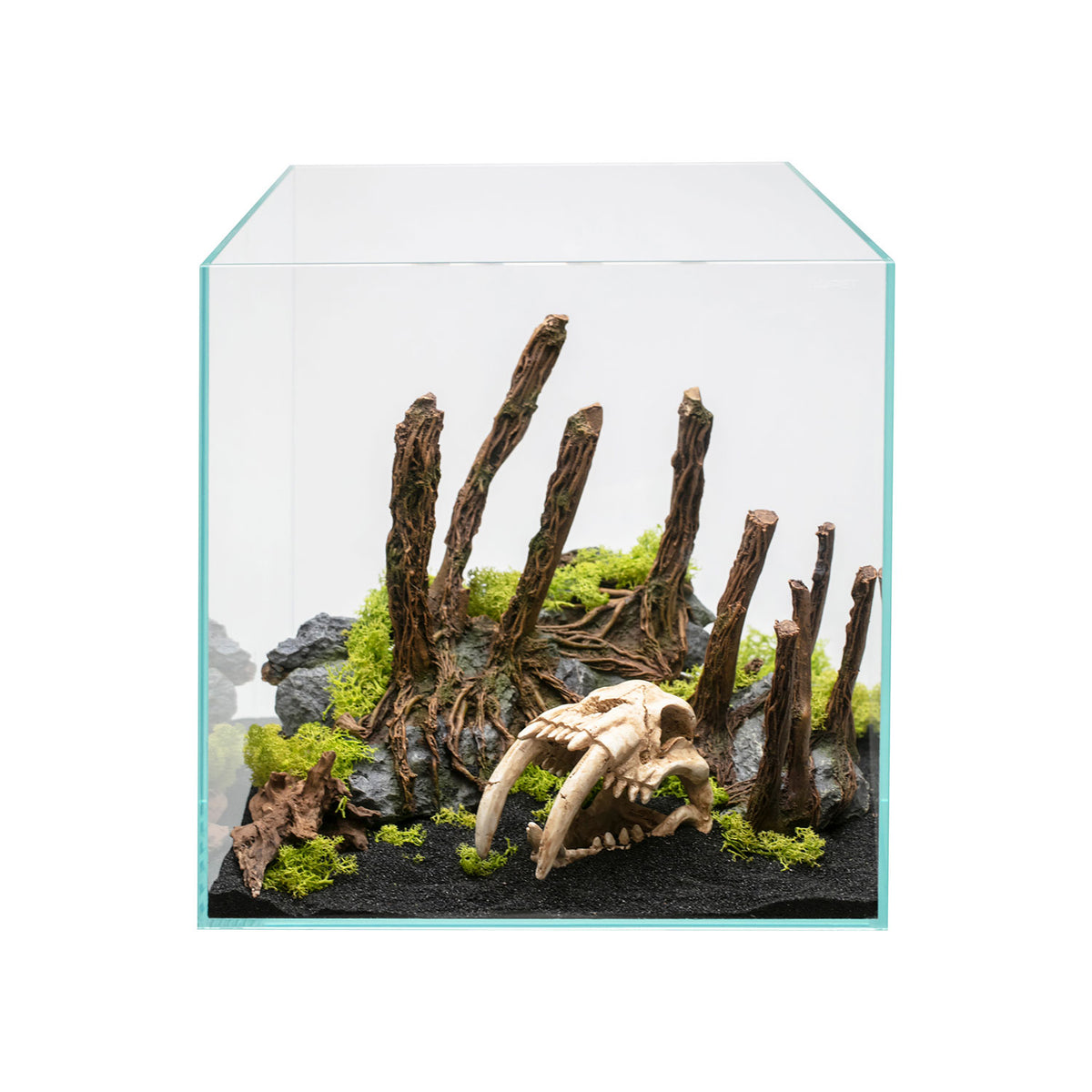 AQPET DECORART Décorations pour aquariums MOD. BARE ROOTS 32.5*21*24