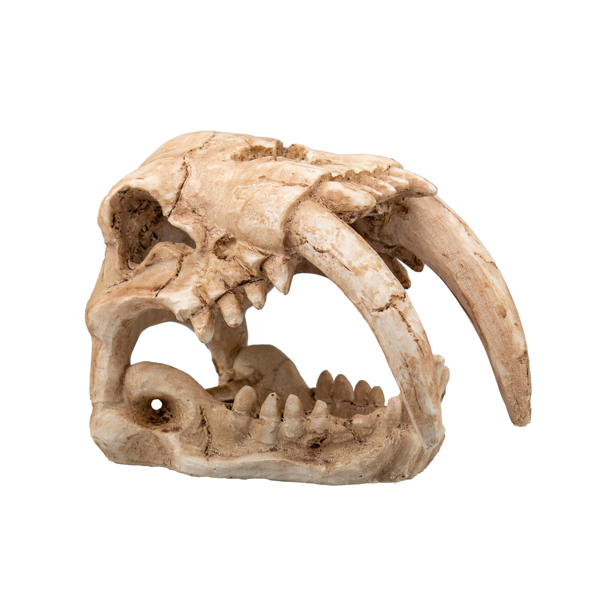 AQPET DECORART Décorations pour aquariums Mod. Crâne fossile 15*9.5*11