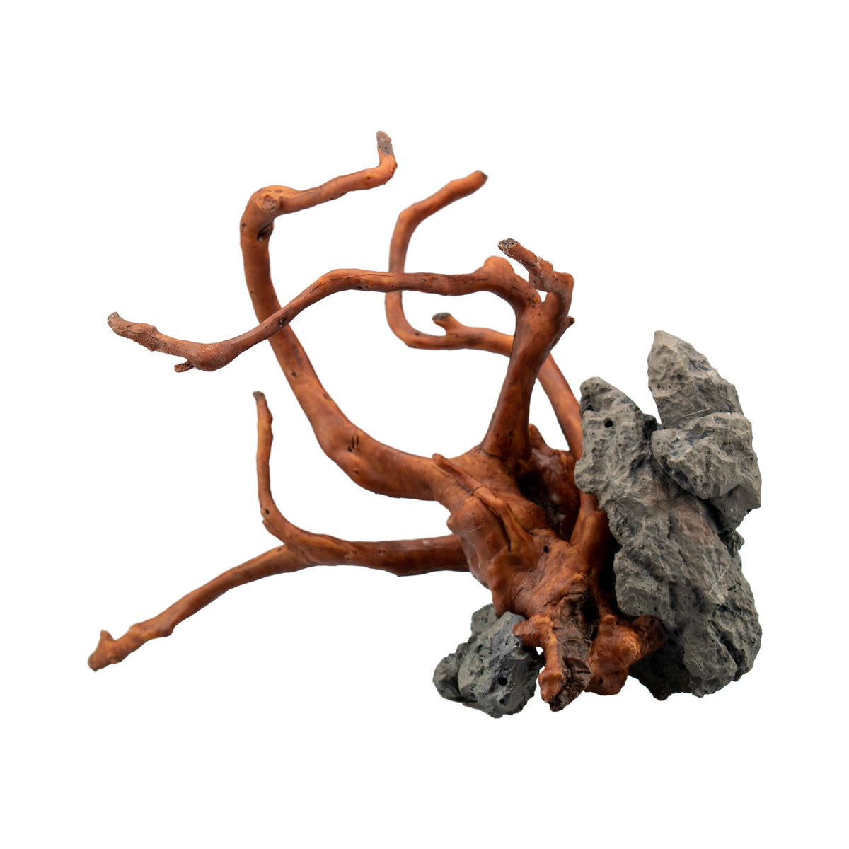 AQPET DECORART Décorations pour aquariums mod. Red Roots 29,5*20*21