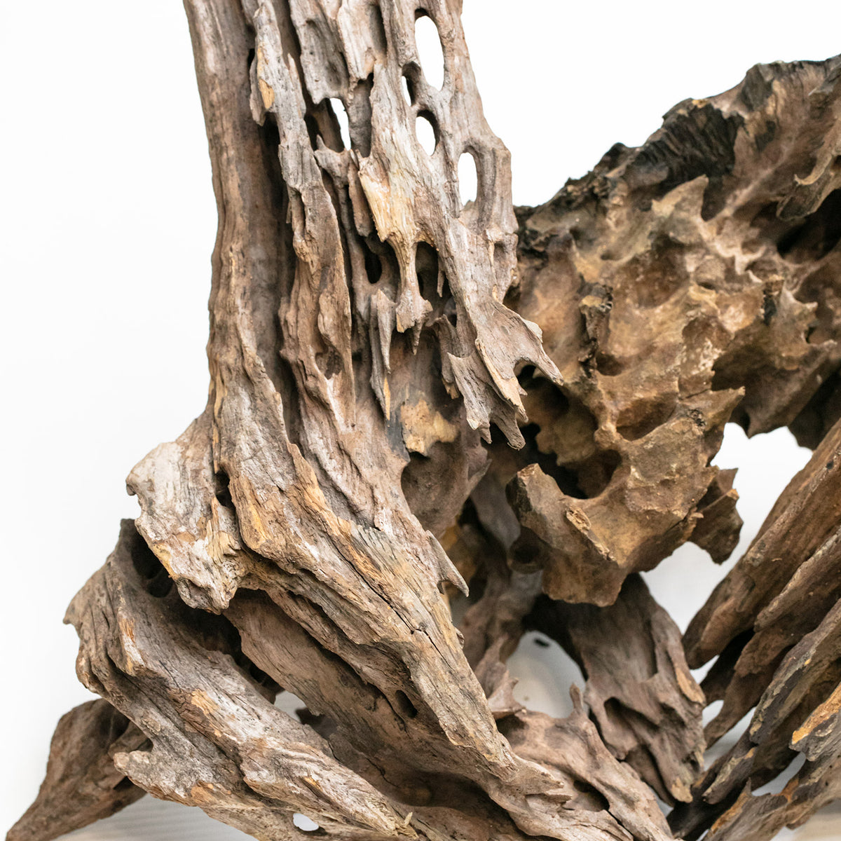 AQPET ZEN WOOD BOIS DRAGON